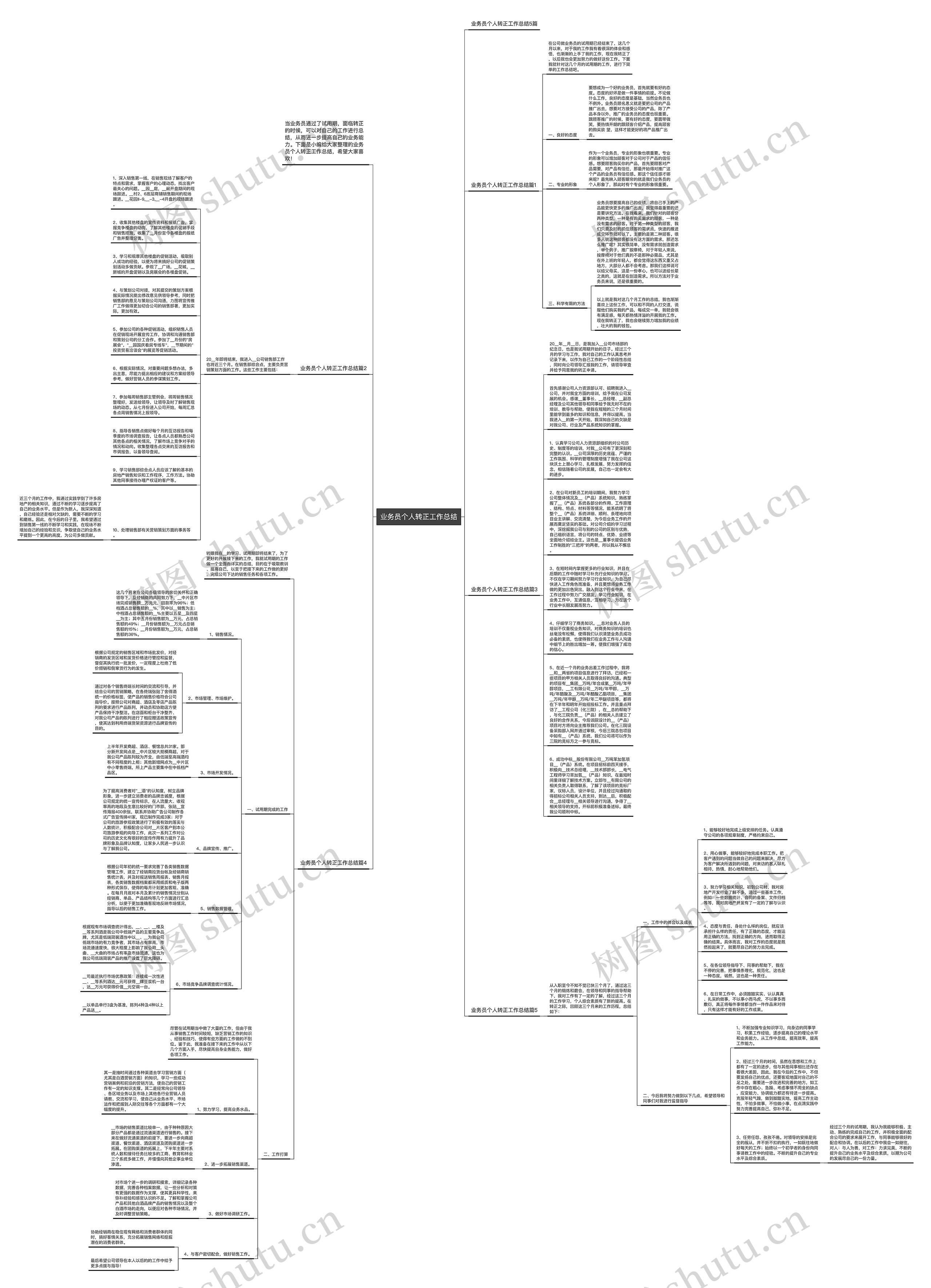 业务员个人转正工作总结