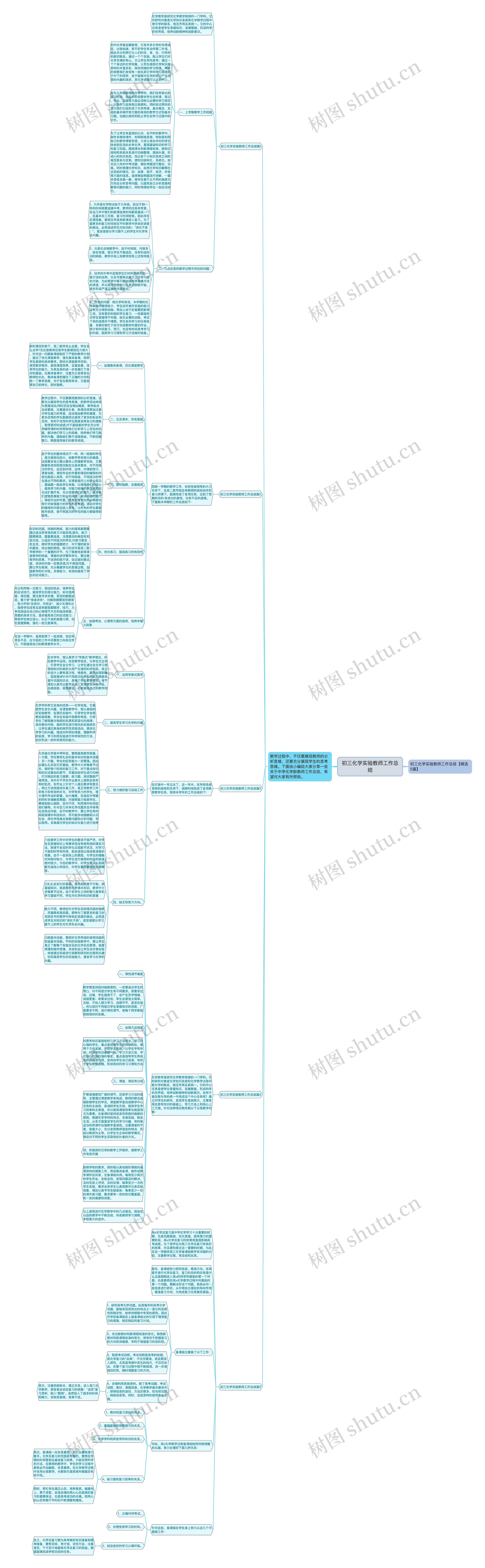 初三化学实验教师工作总结思维导图