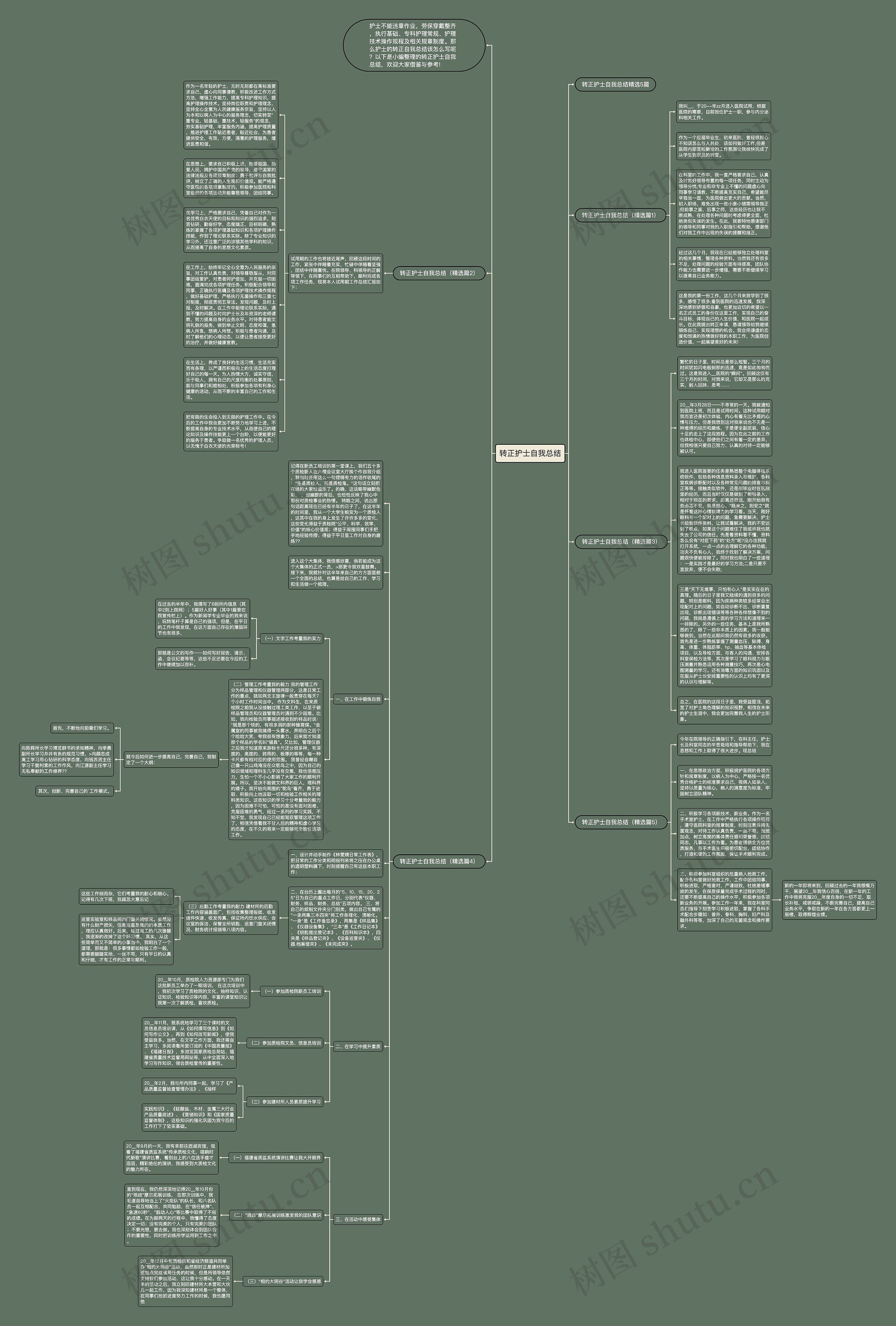 转正护士自我总结思维导图