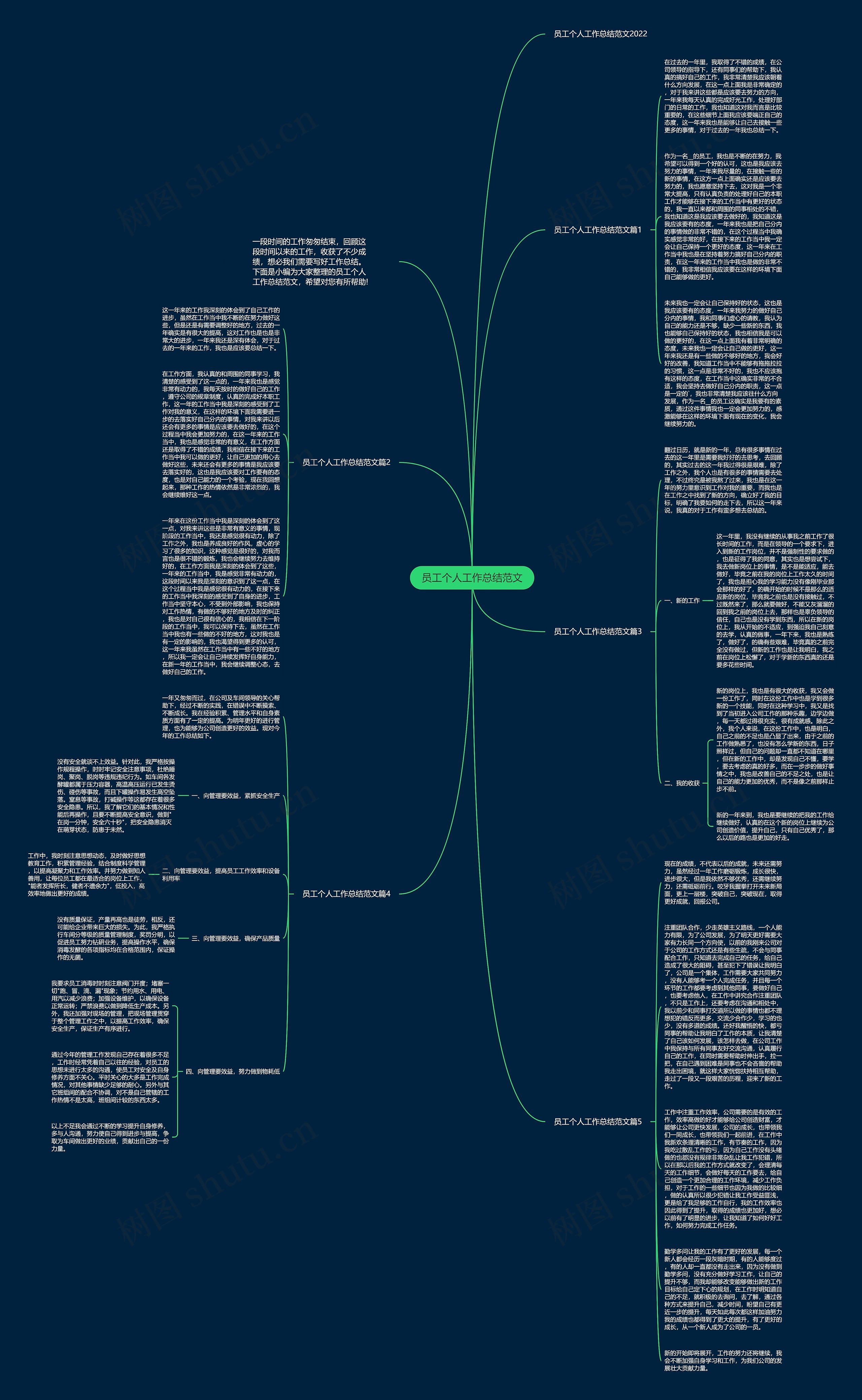 员工个人工作总结范文思维导图