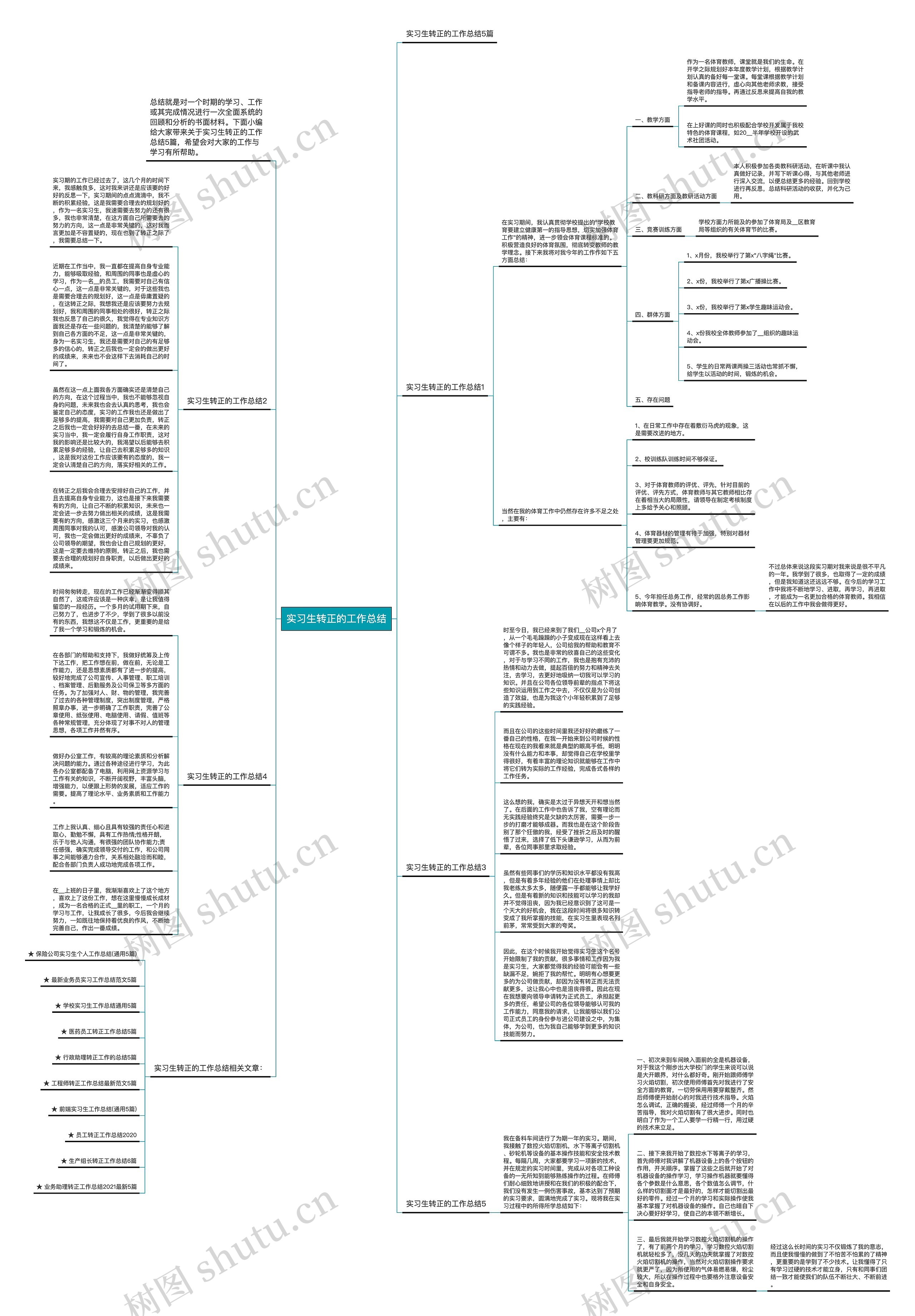 实习生转正的工作总结思维导图