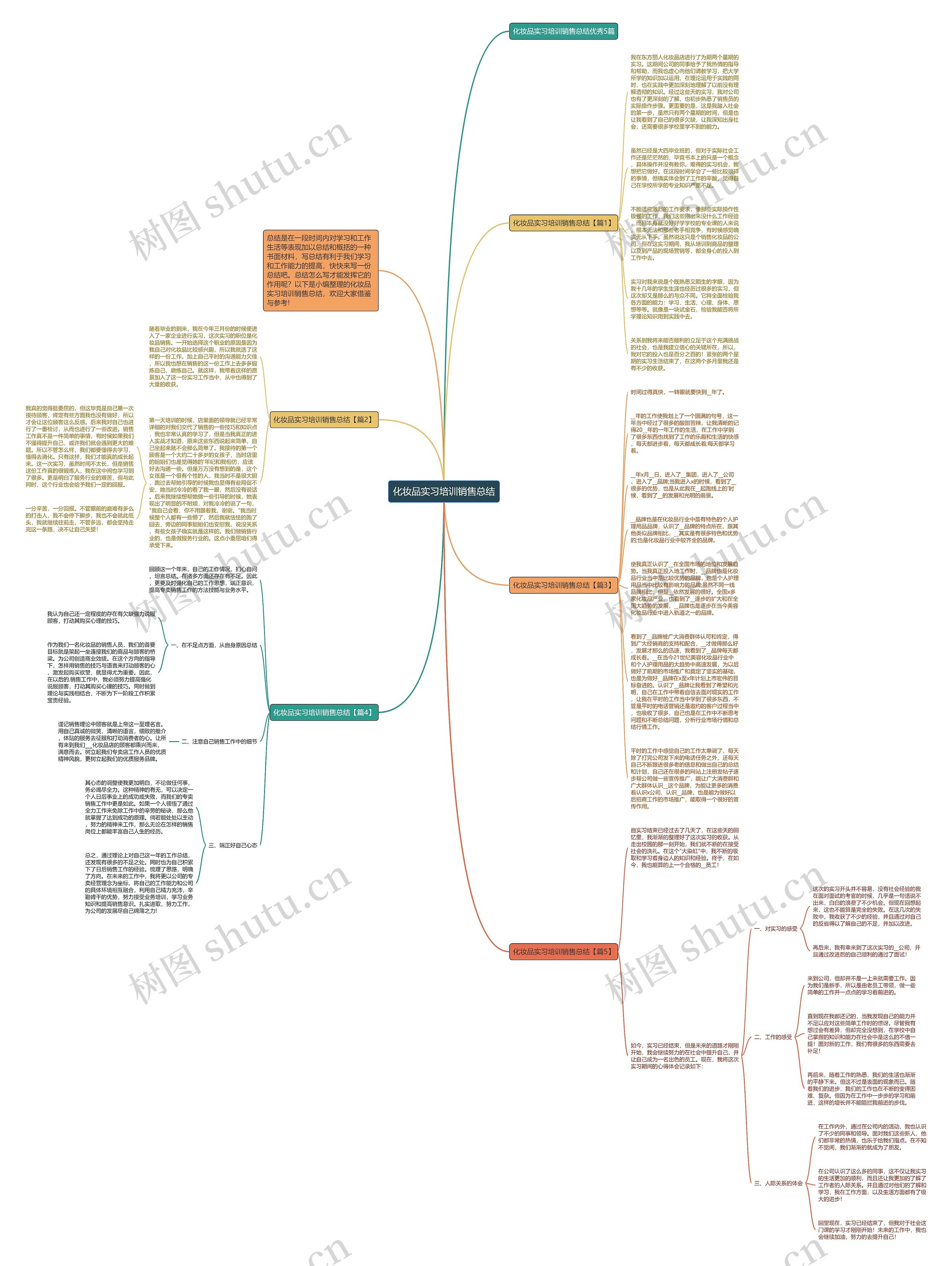 化妆品实习培训销售总结思维导图