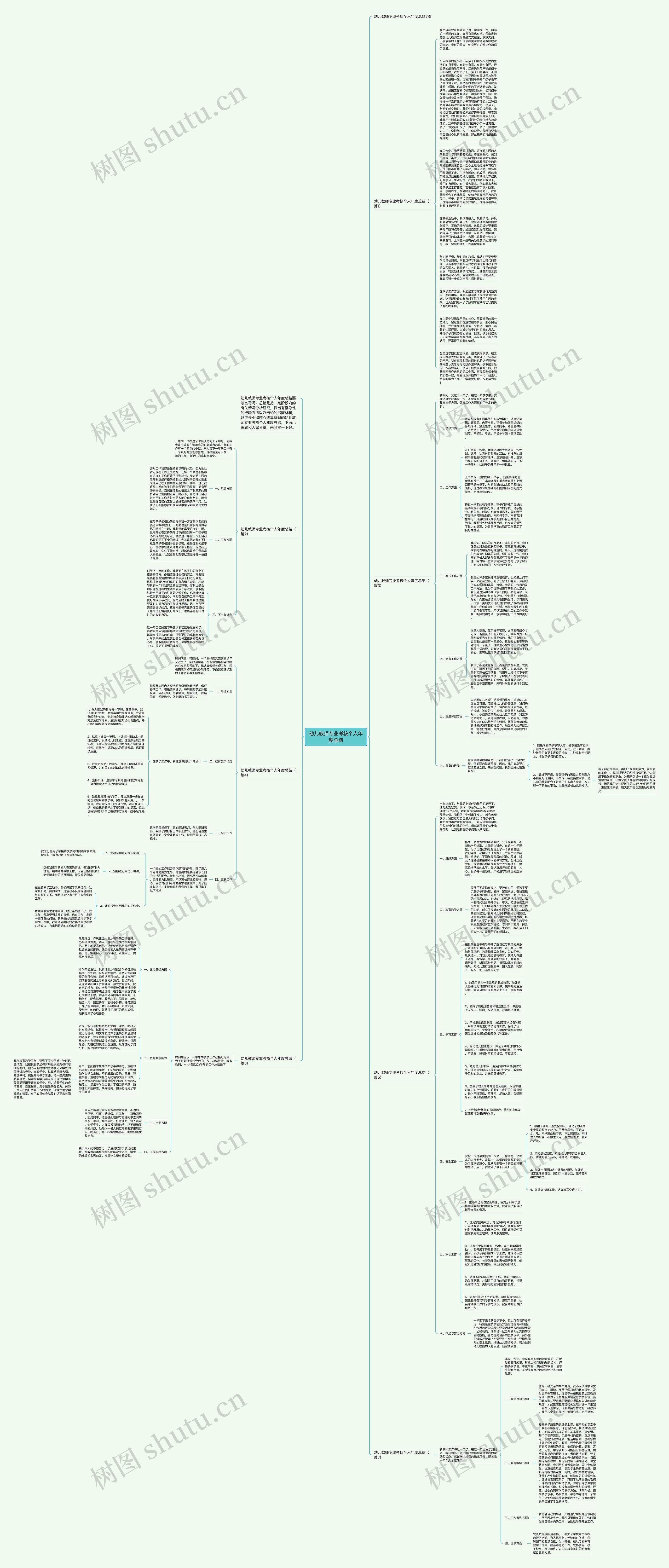 幼儿教师专业考核个人年度总结思维导图
