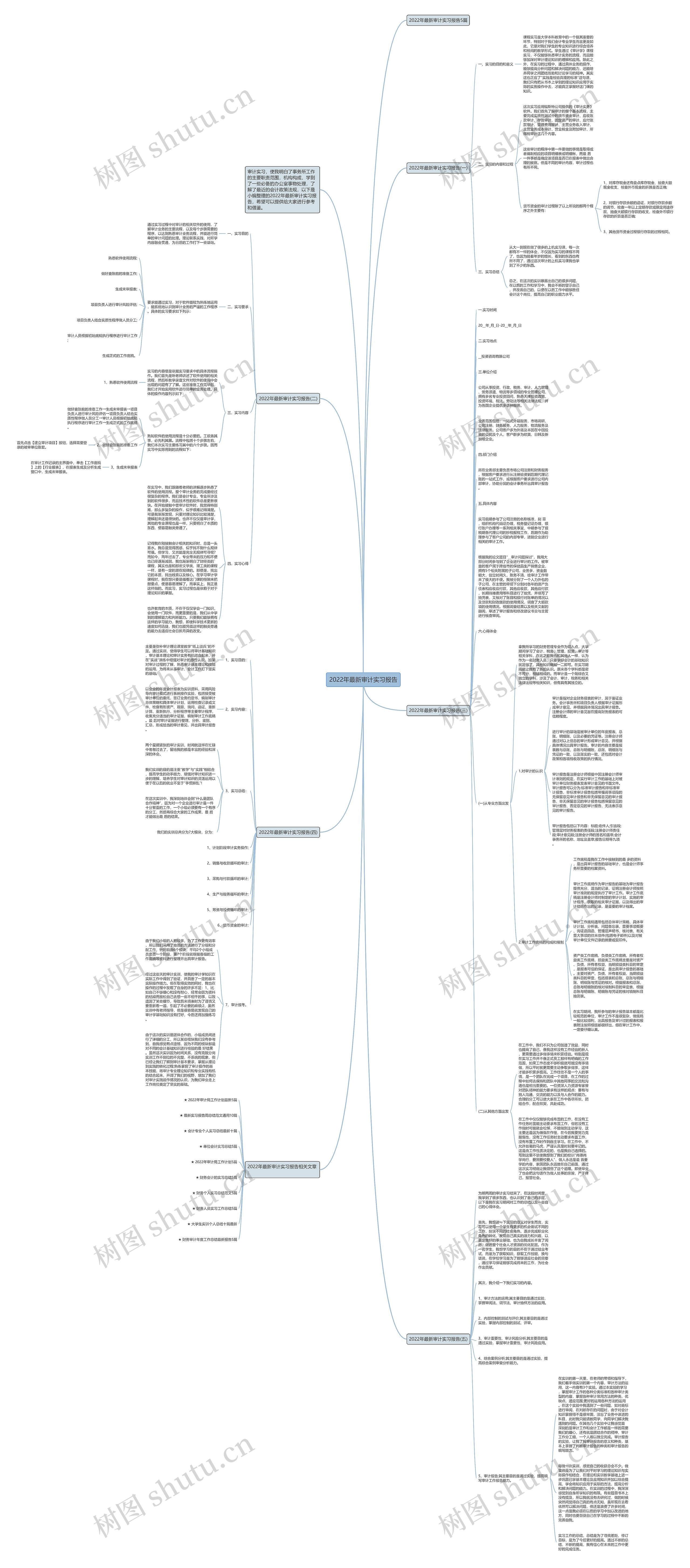 2022年最新审计实习报告思维导图