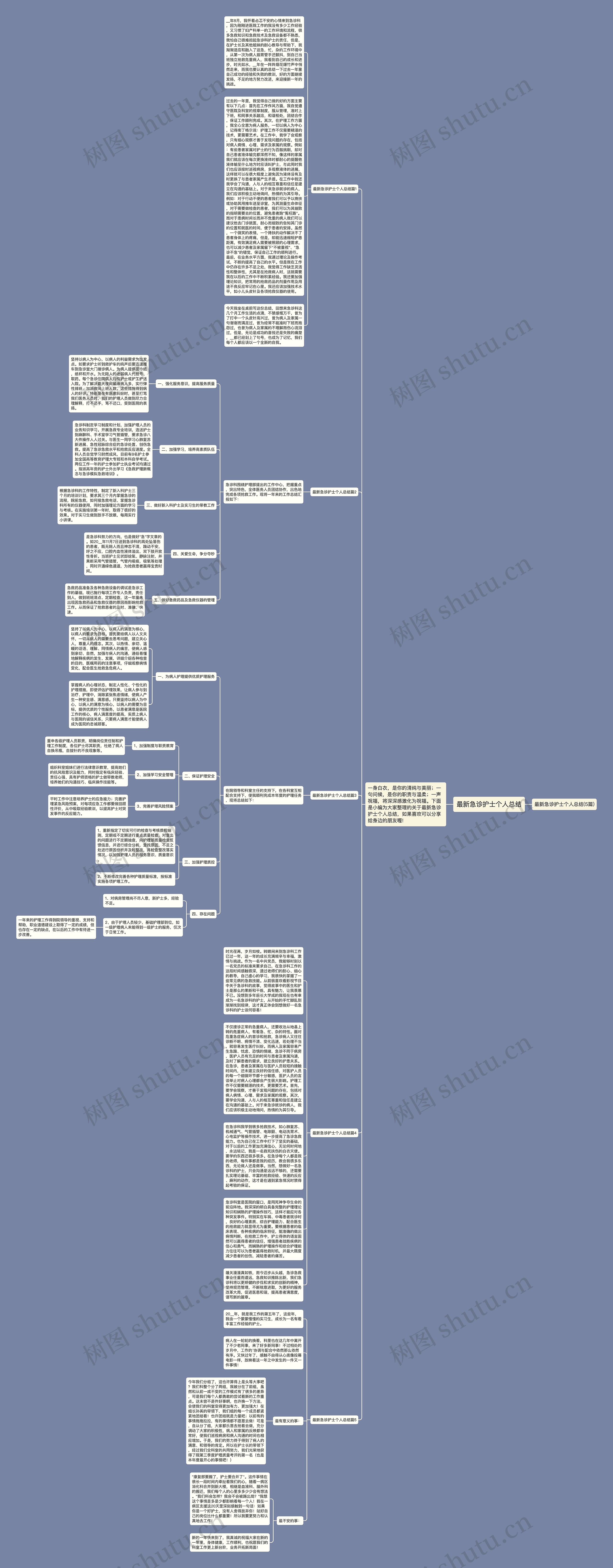 最新急诊护士个人总结思维导图