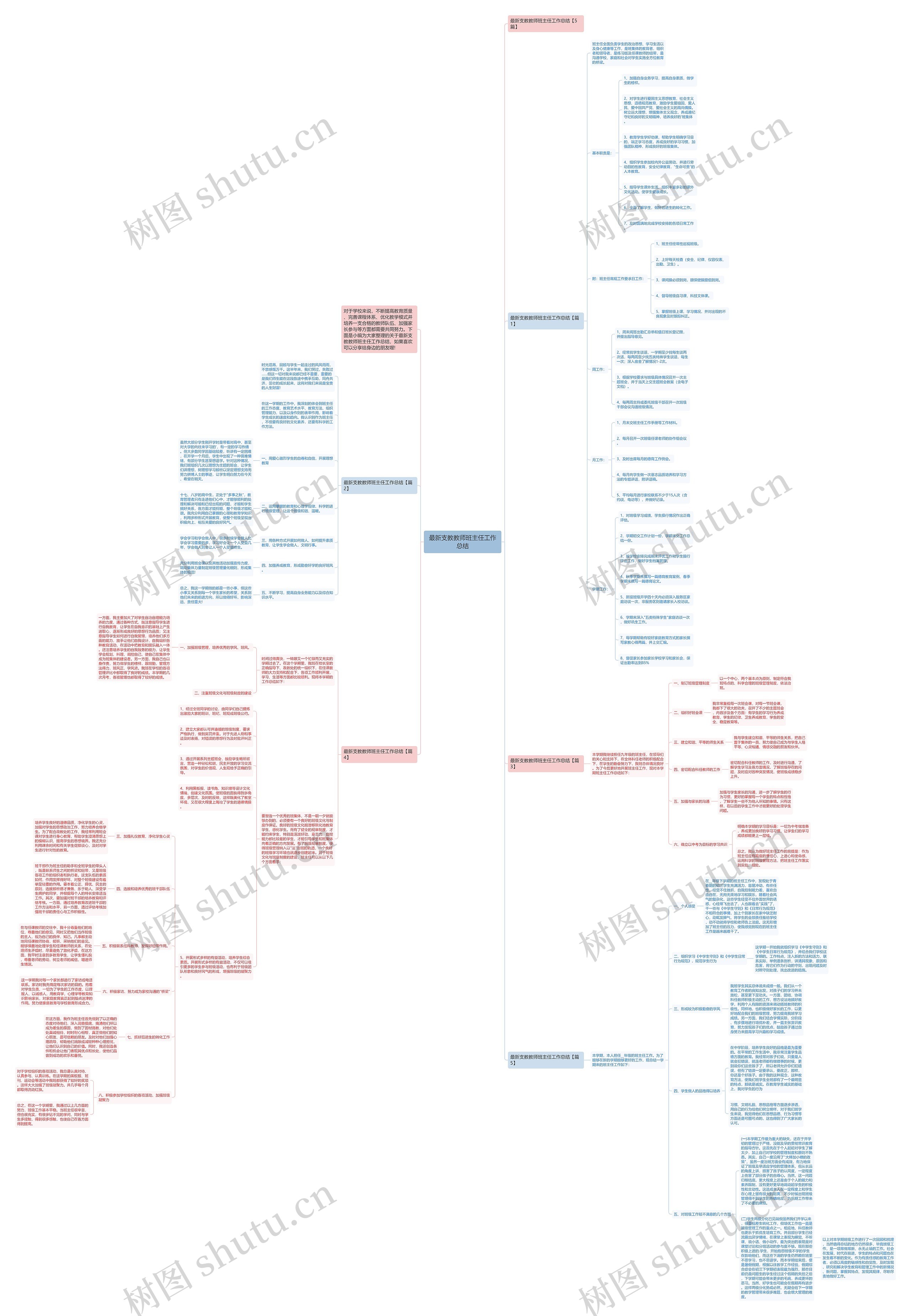 最新支教教师班主任工作总结思维导图
