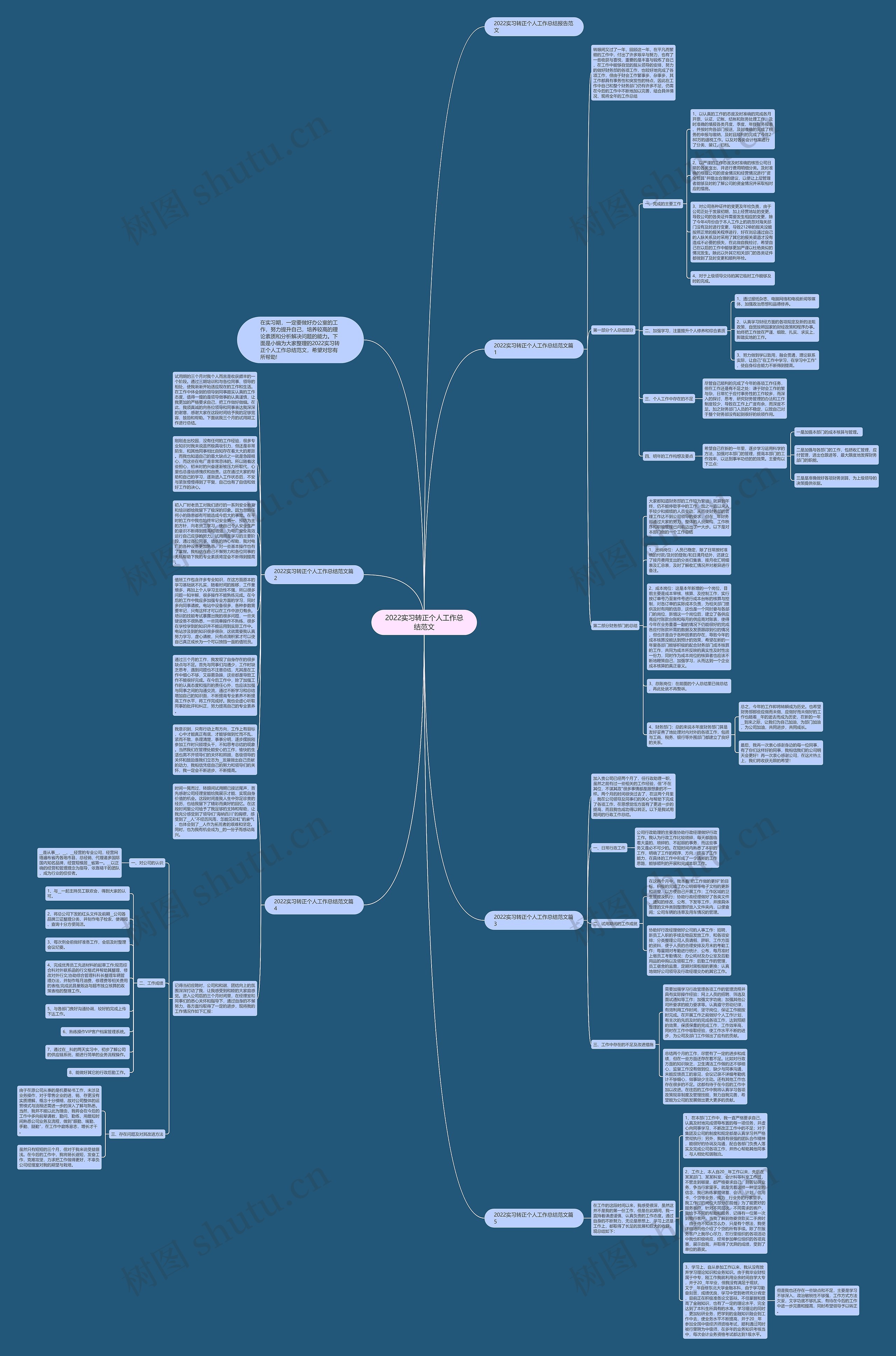 2022实习转正个人工作总结范文思维导图