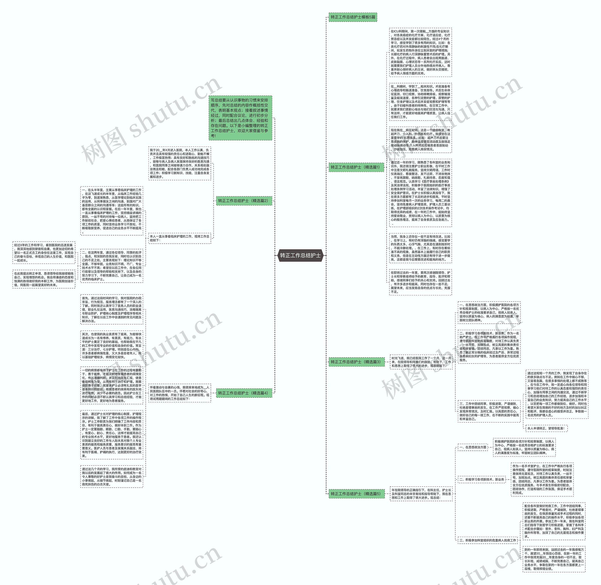 转正工作总结护士思维导图
