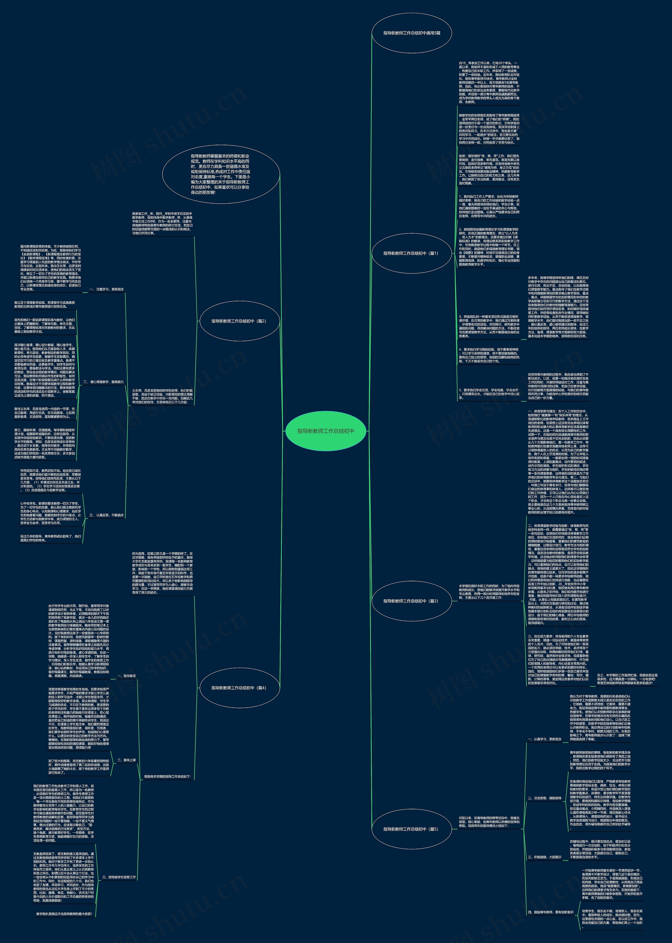 指导新教师工作总结初中思维导图
