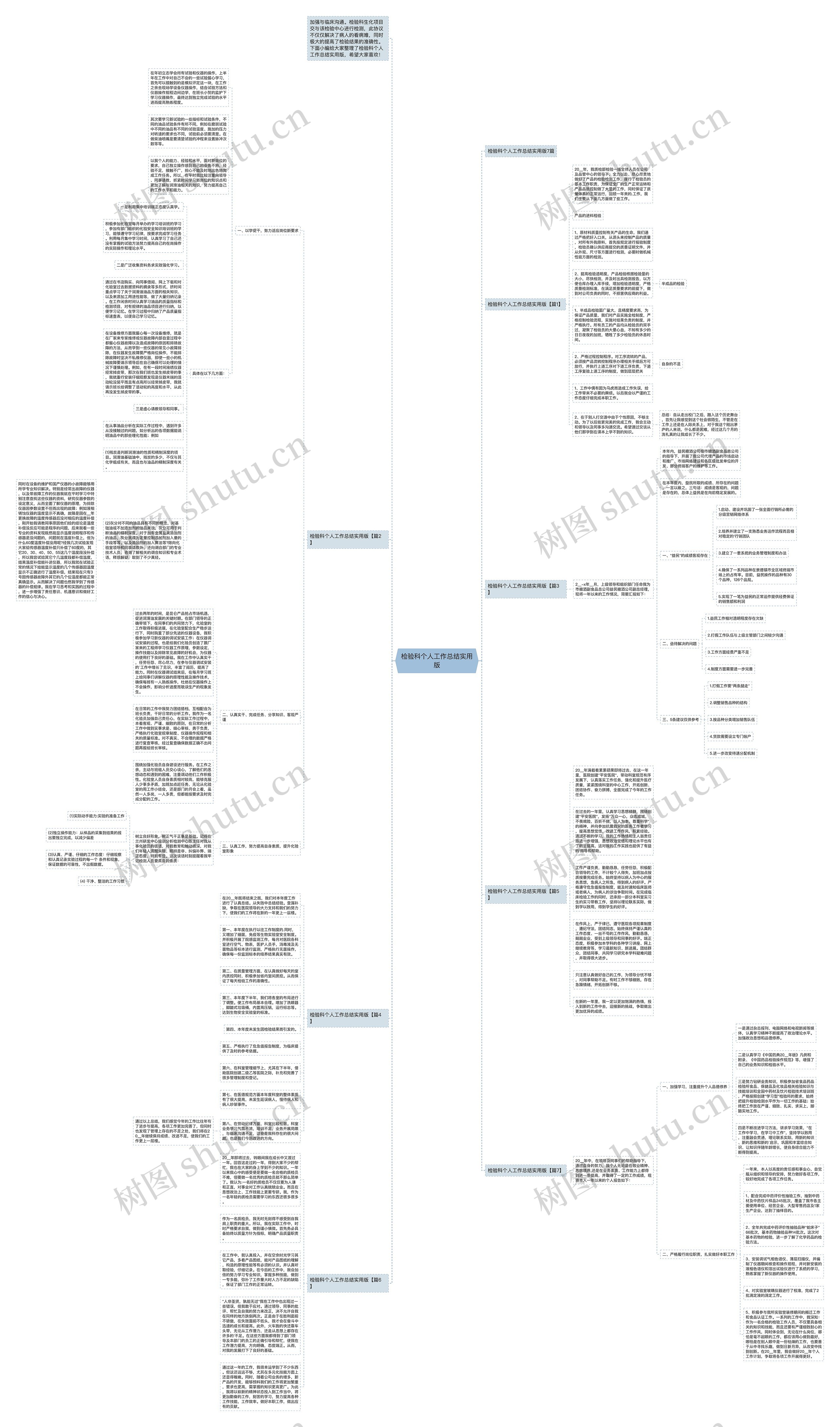 检验科个人工作总结实用版思维导图