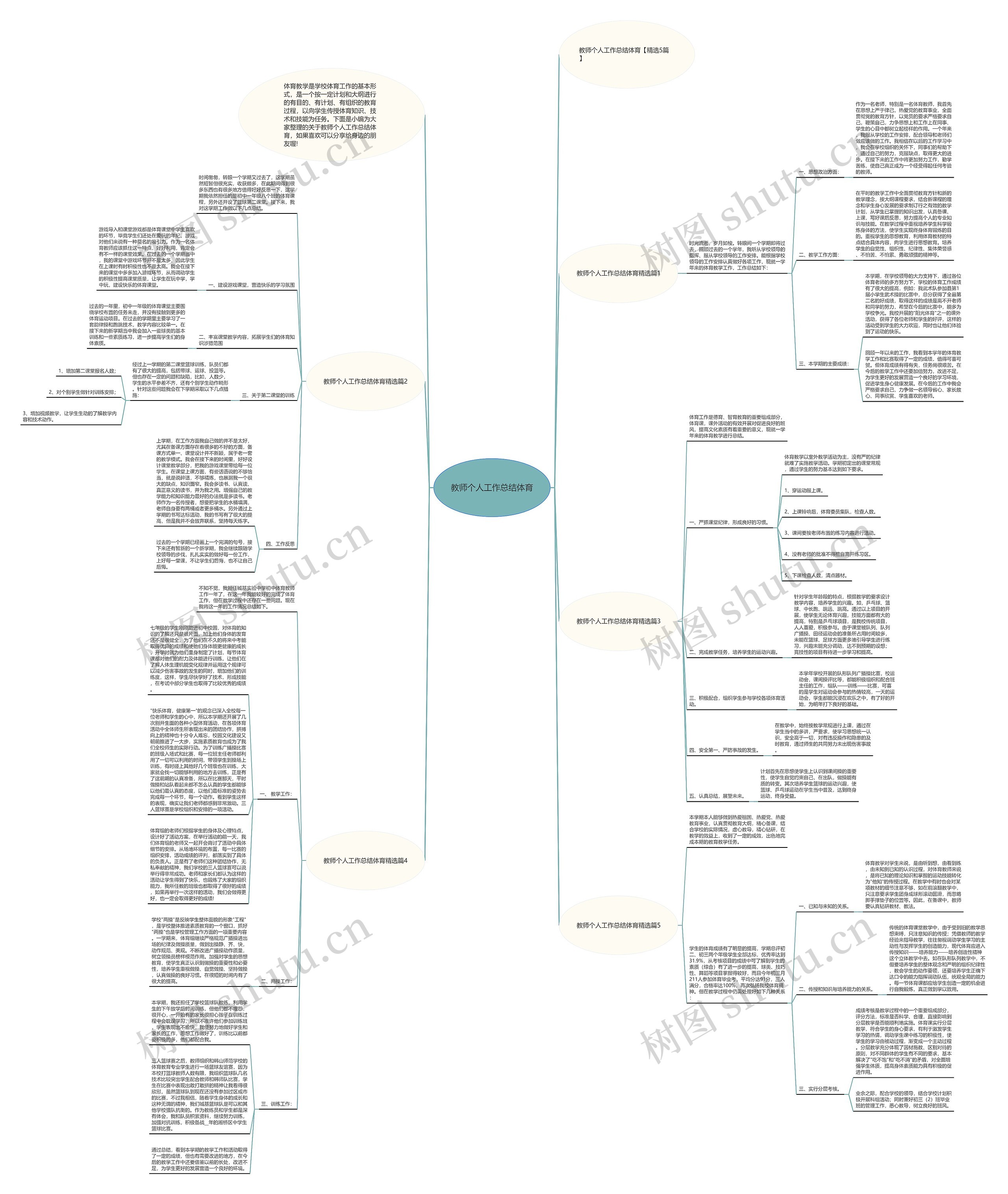 教师个人工作总结体育思维导图