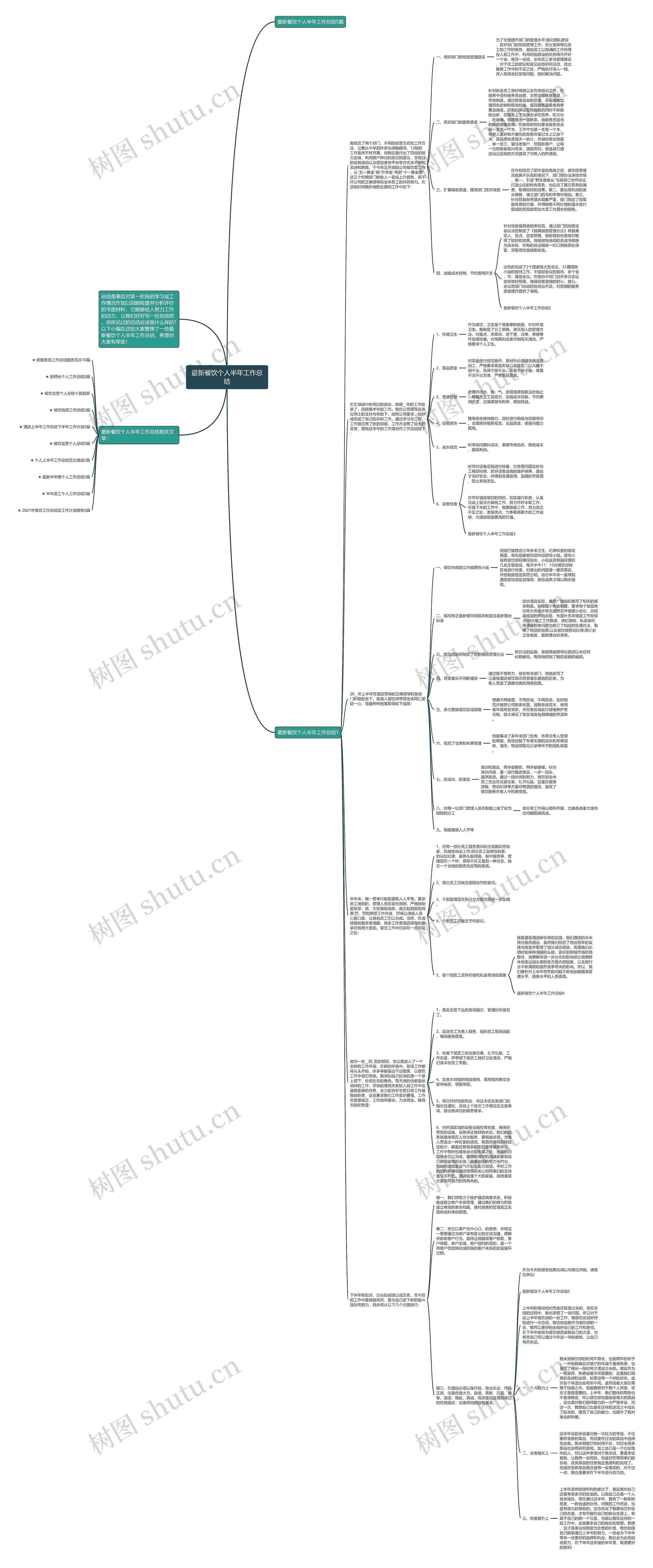 最新餐饮个人半年工作总结思维导图