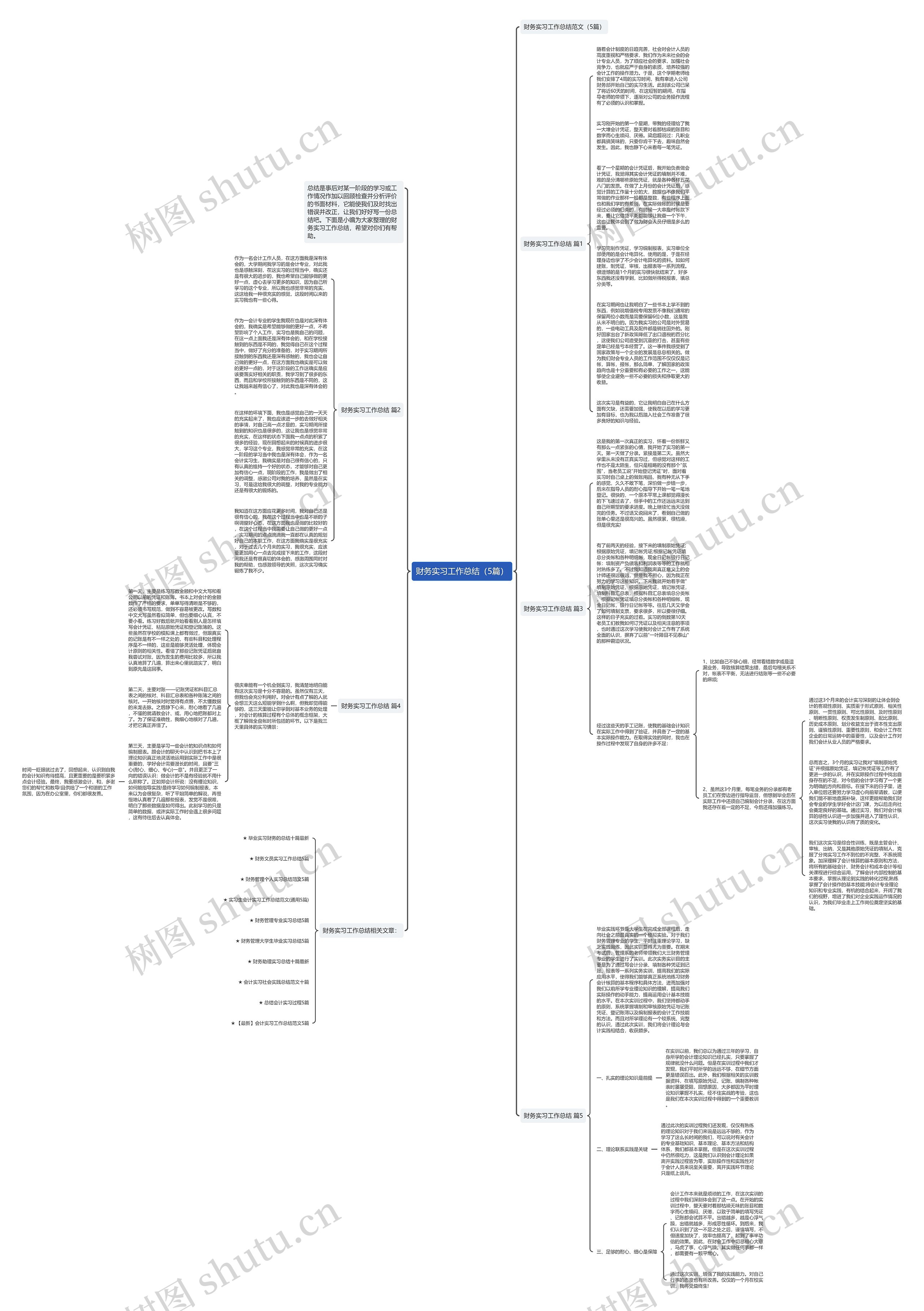 财务实习工作总结（5篇）思维导图