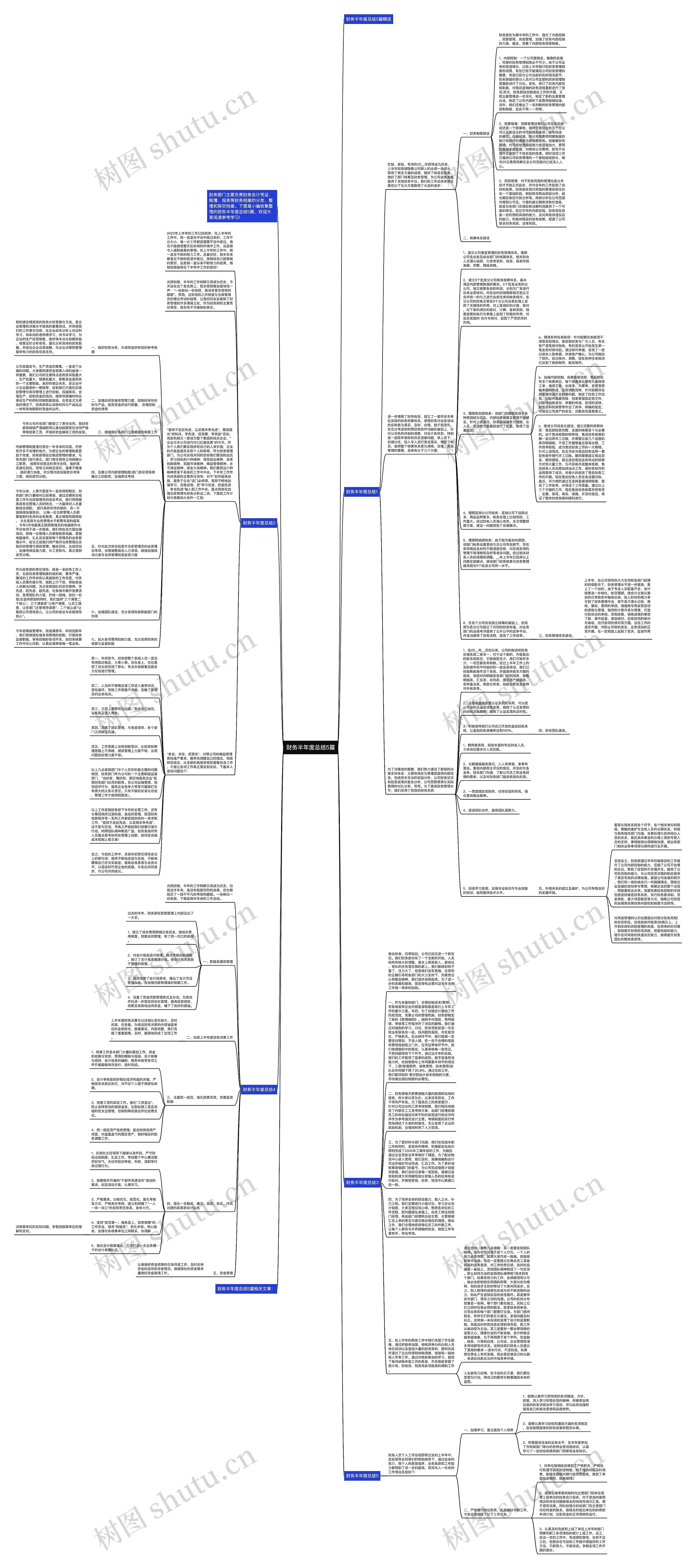 财务半年度总结5篇思维导图