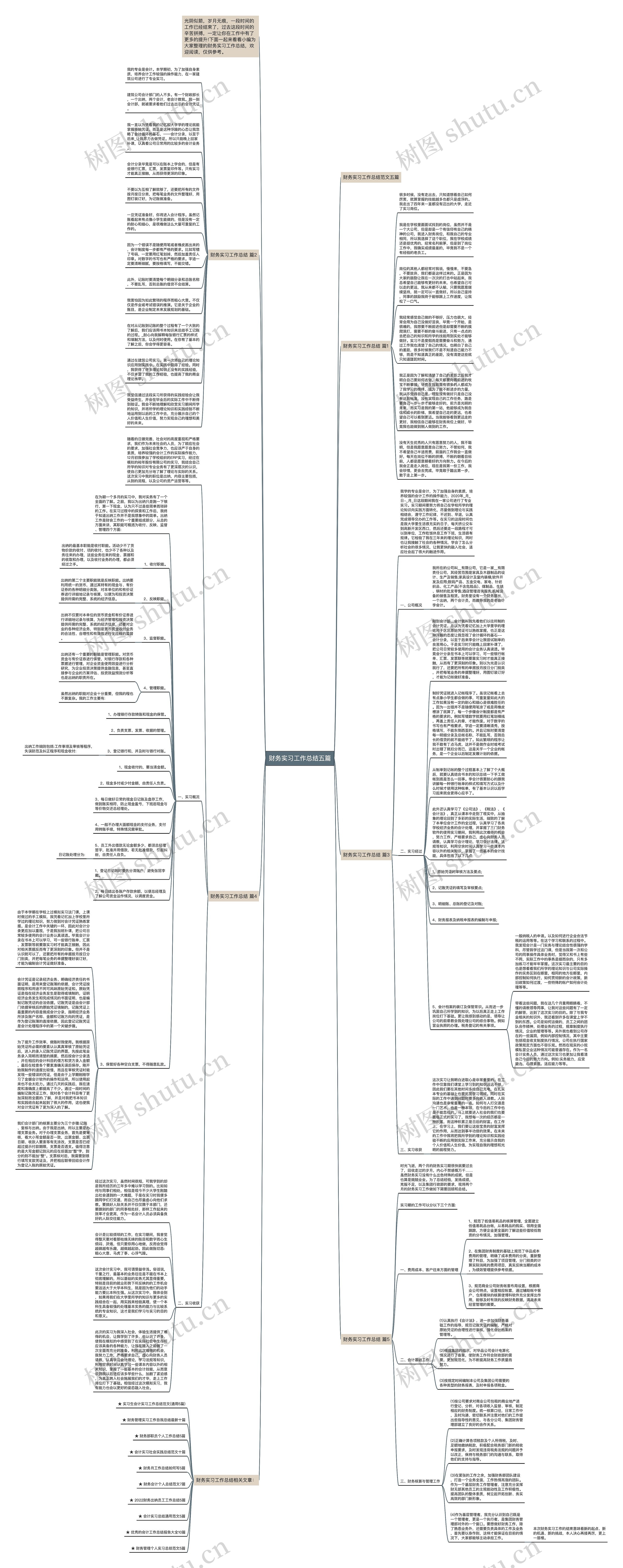 财务实习工作总结五篇思维导图