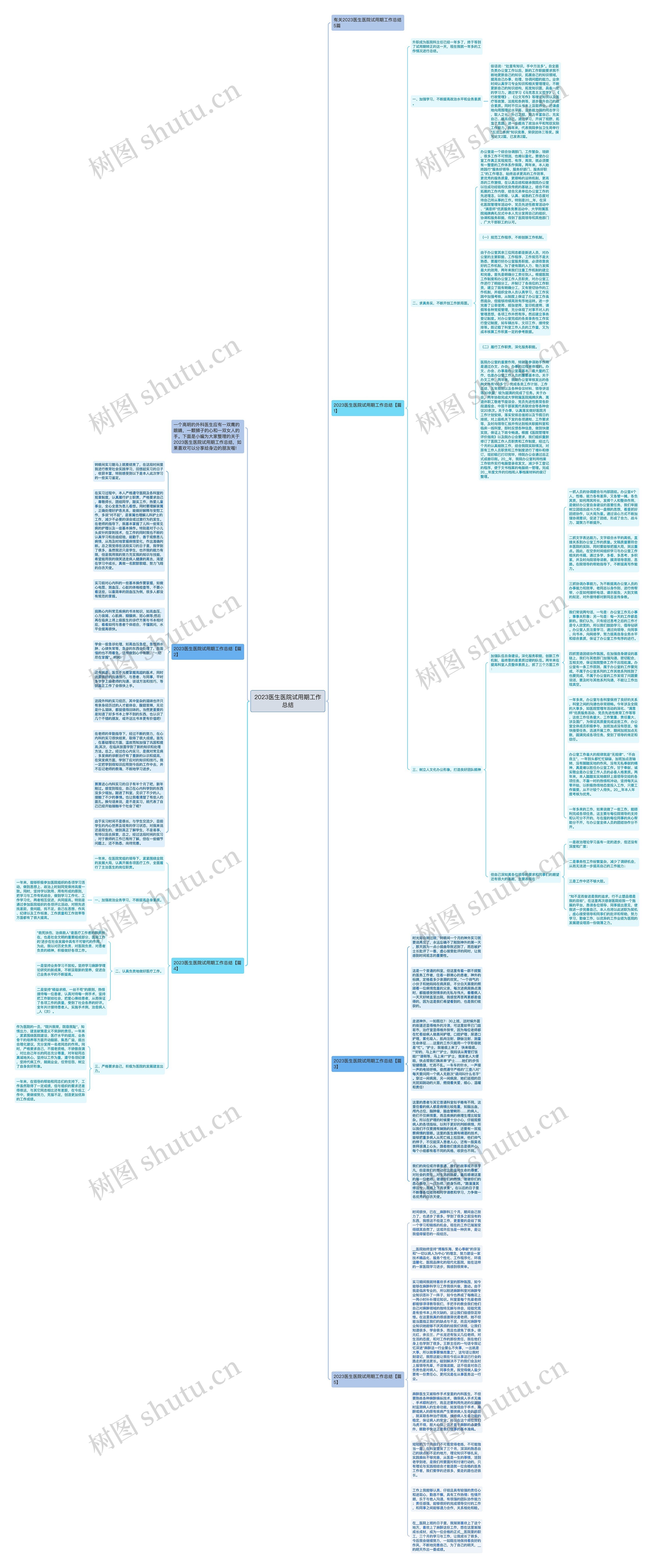 2023医生医院试用期工作总结思维导图