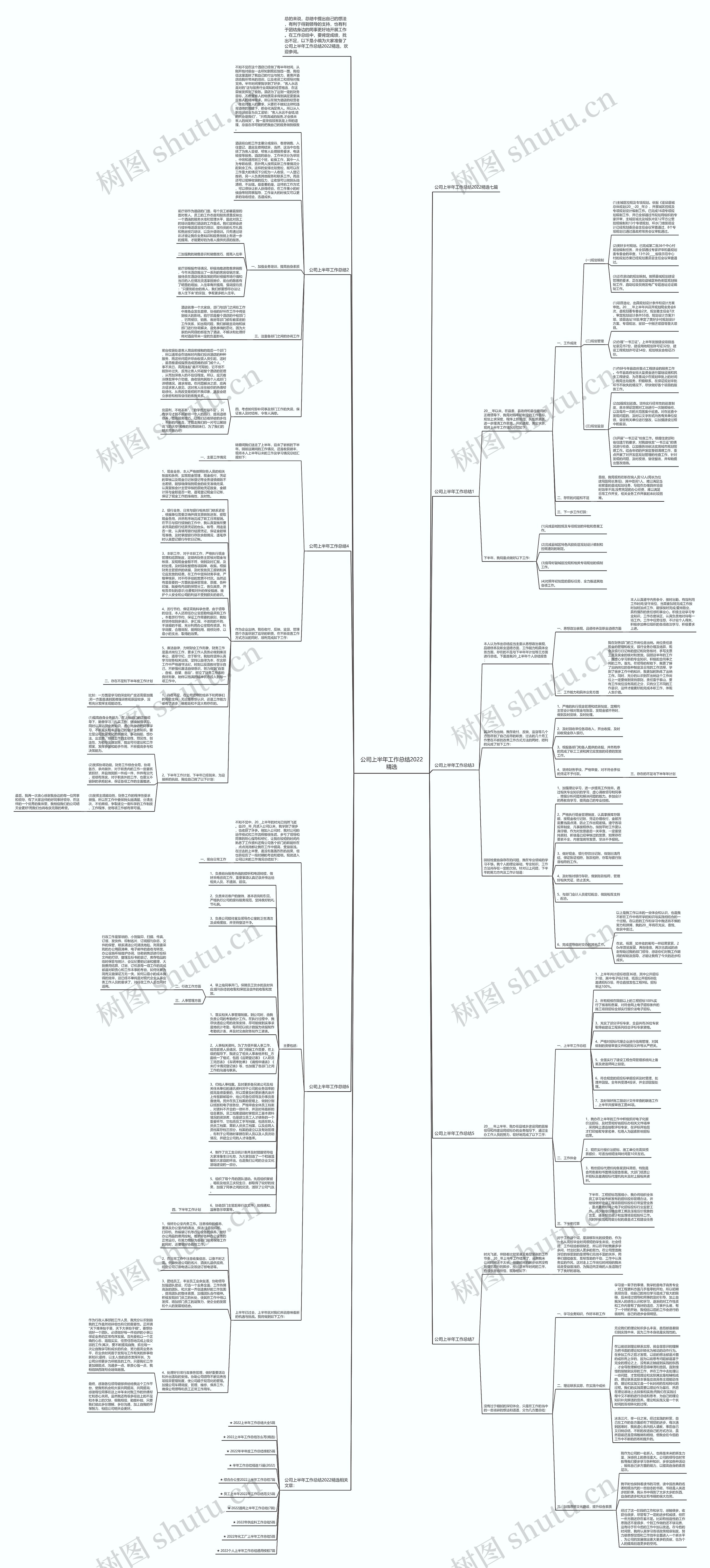 公司上半年工作总结2022精选思维导图