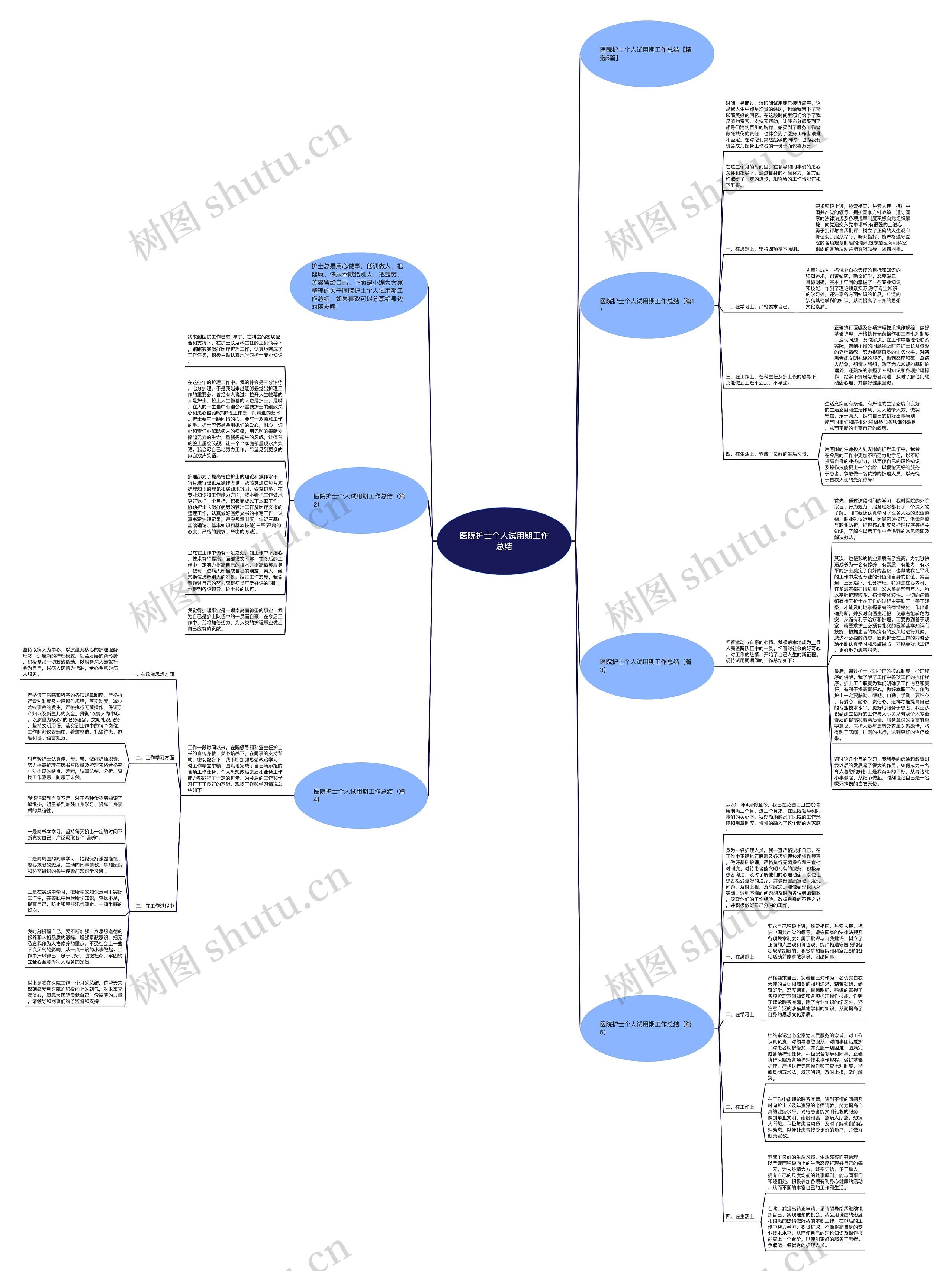 医院护士个人试用期工作总结思维导图