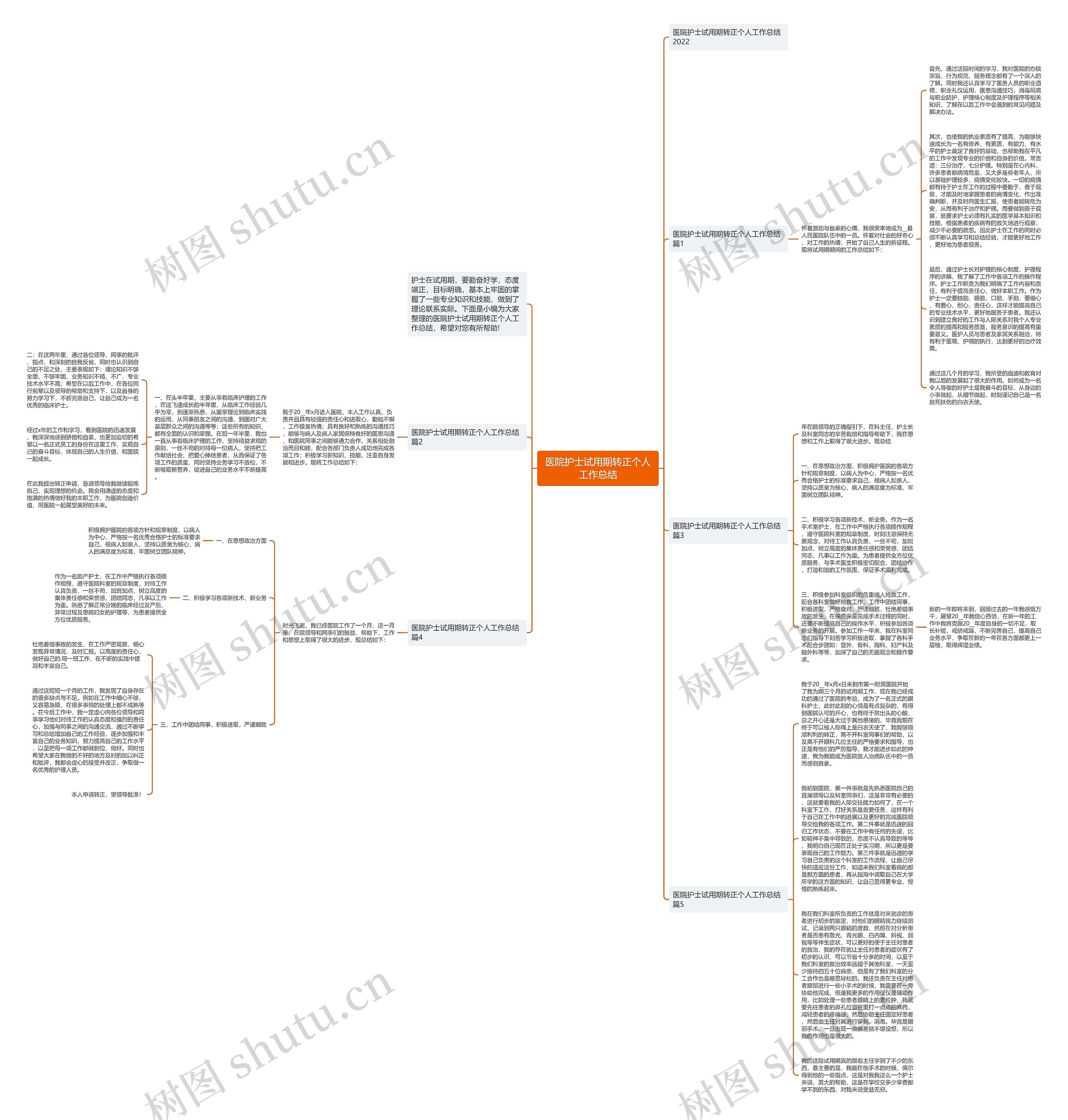 医院护士试用期转正个人工作总结思维导图