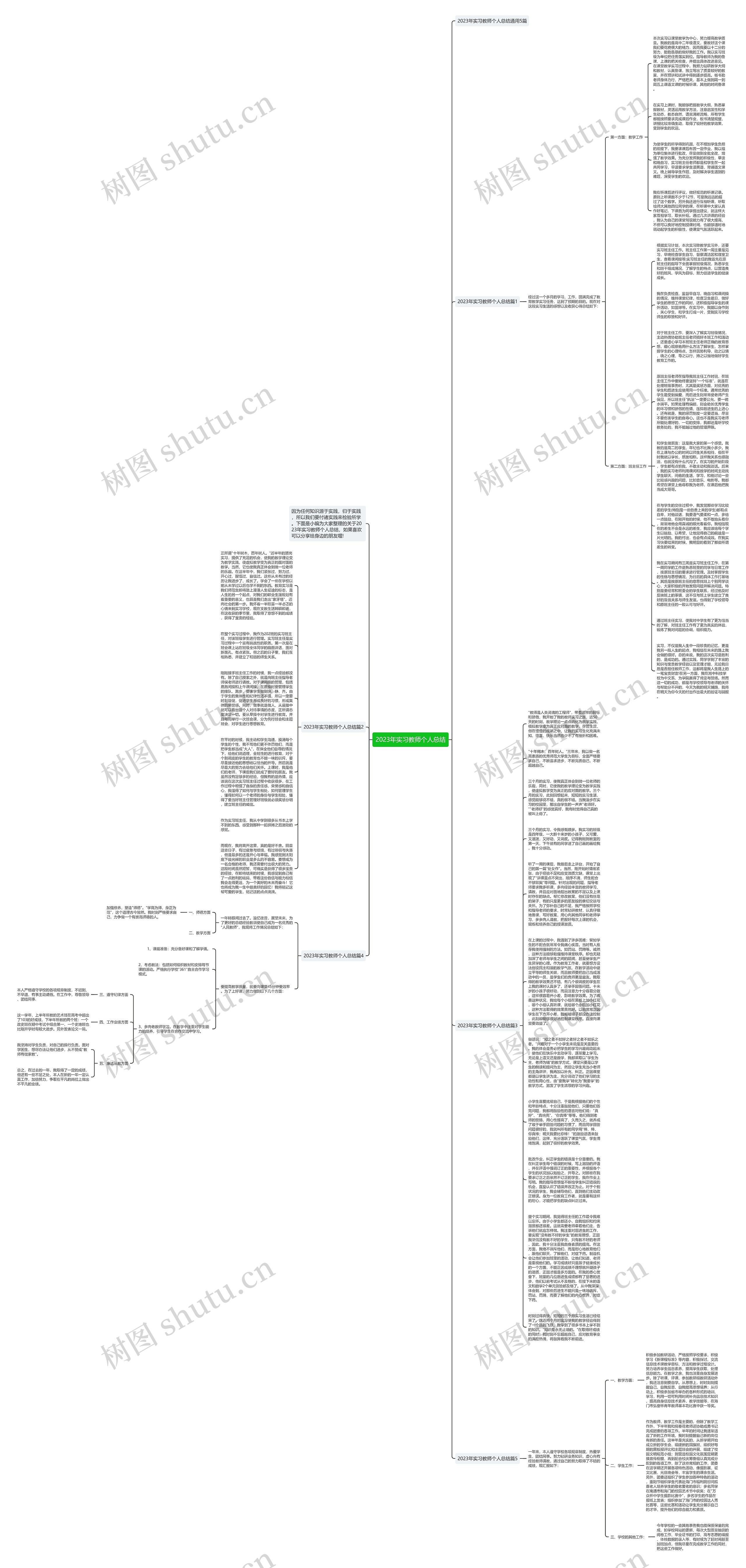 2023年实习教师个人总结思维导图