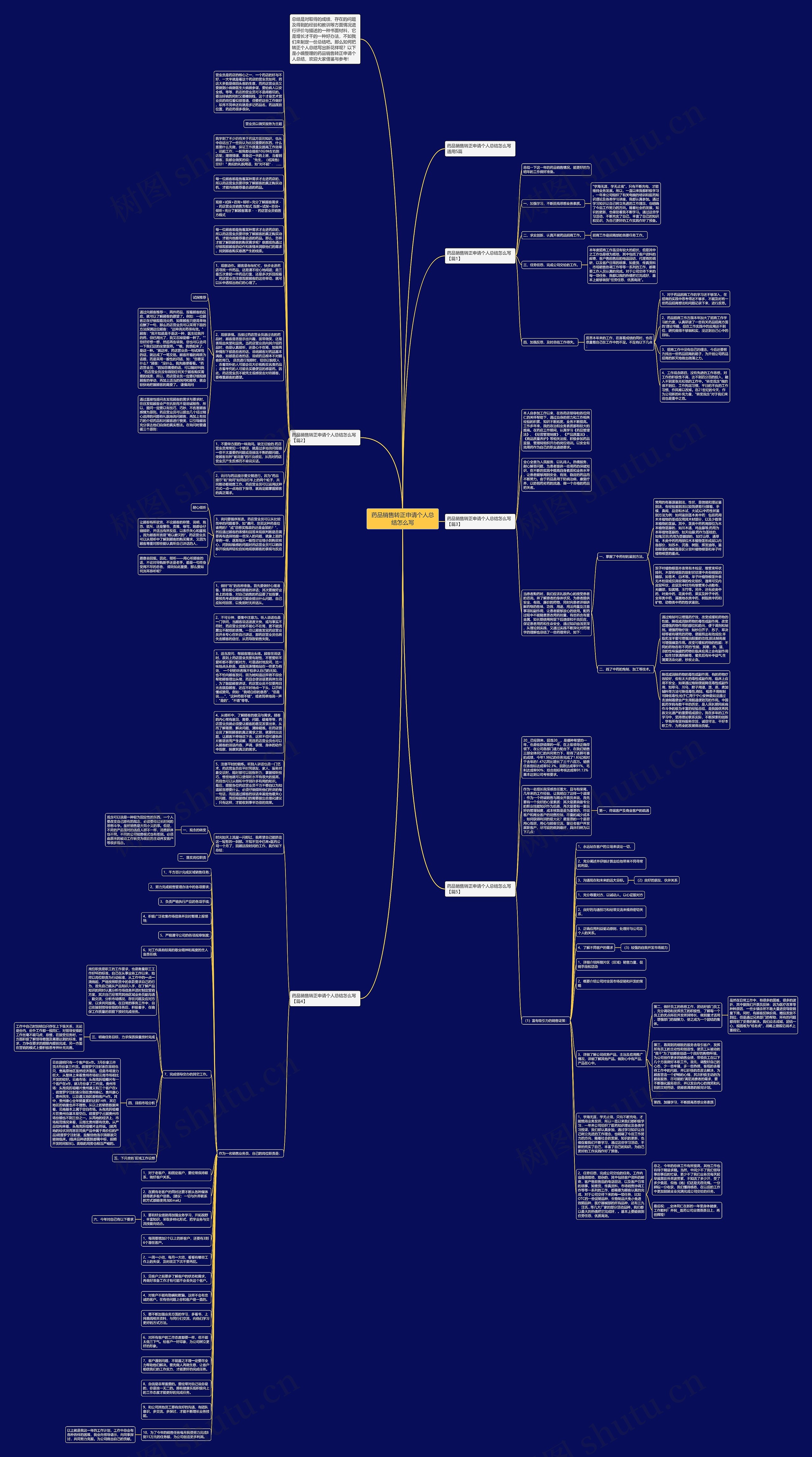 药品销售转正申请个人总结怎么写思维导图