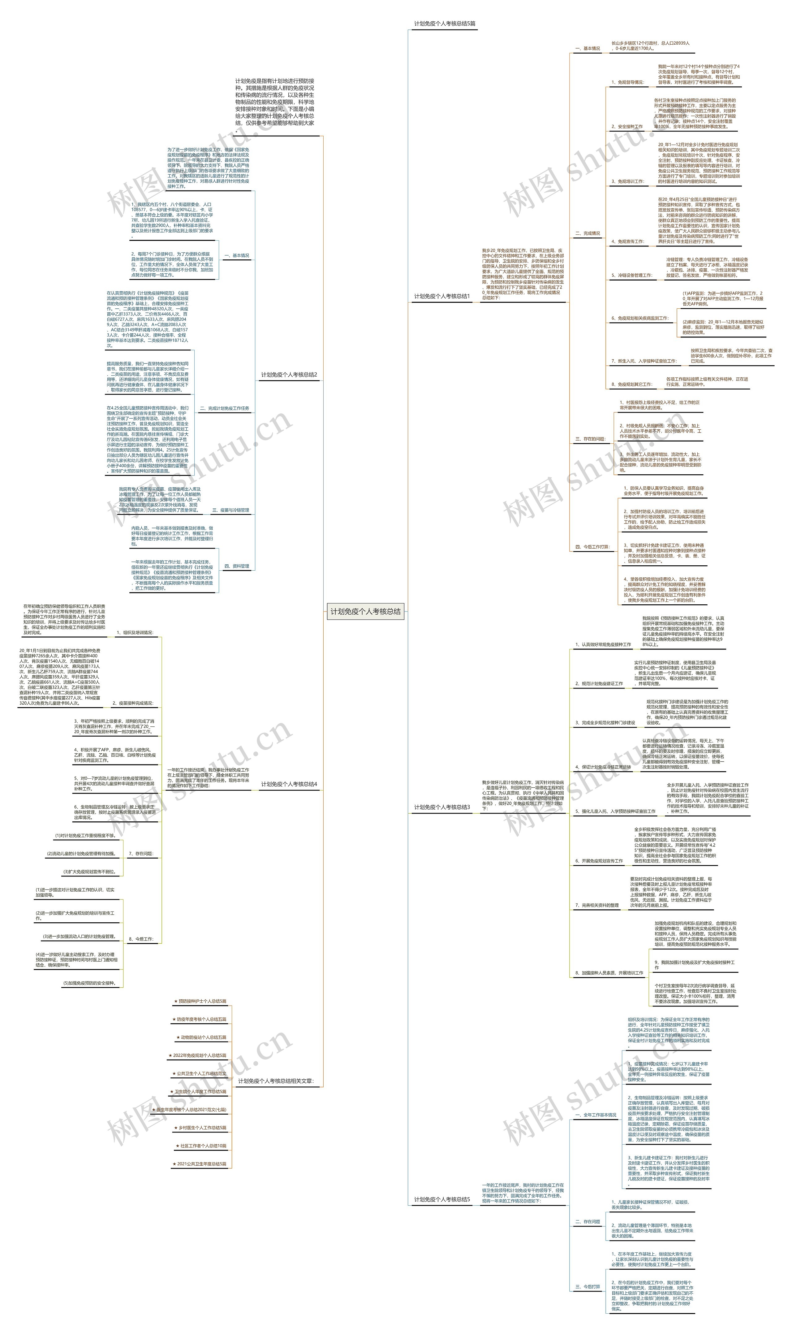 计划免疫个人考核总结思维导图