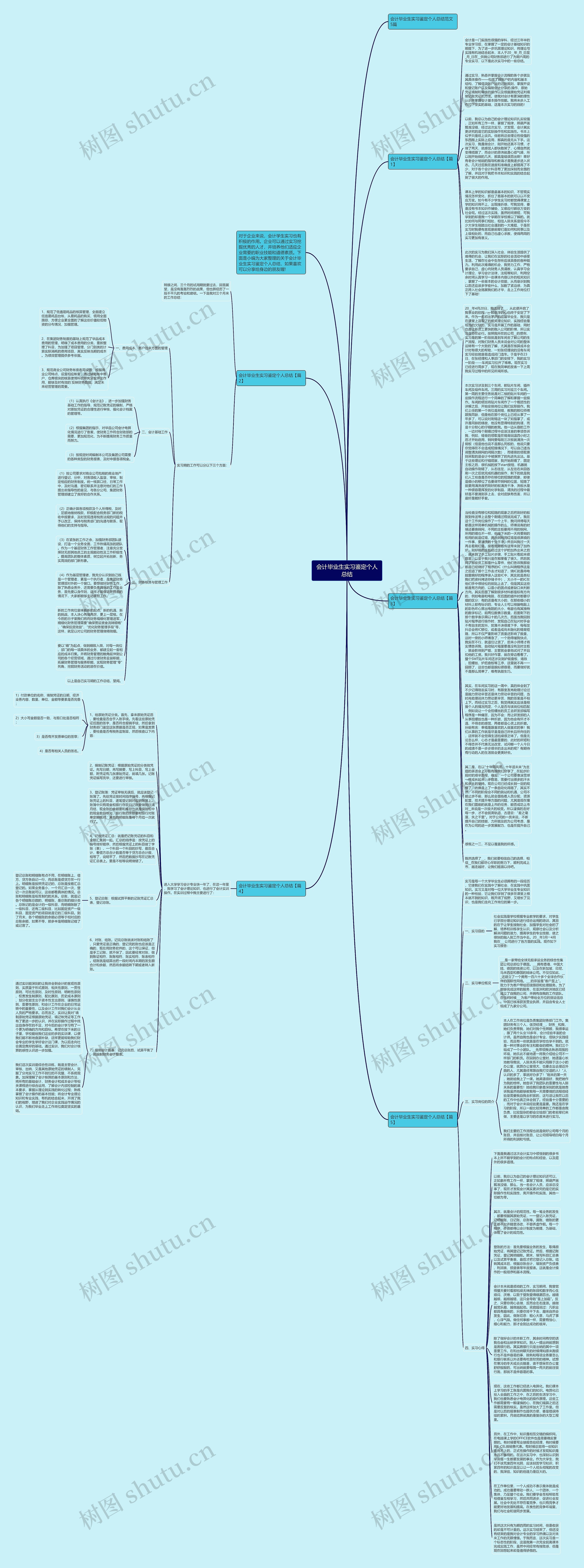会计毕业生实习鉴定个人总结思维导图