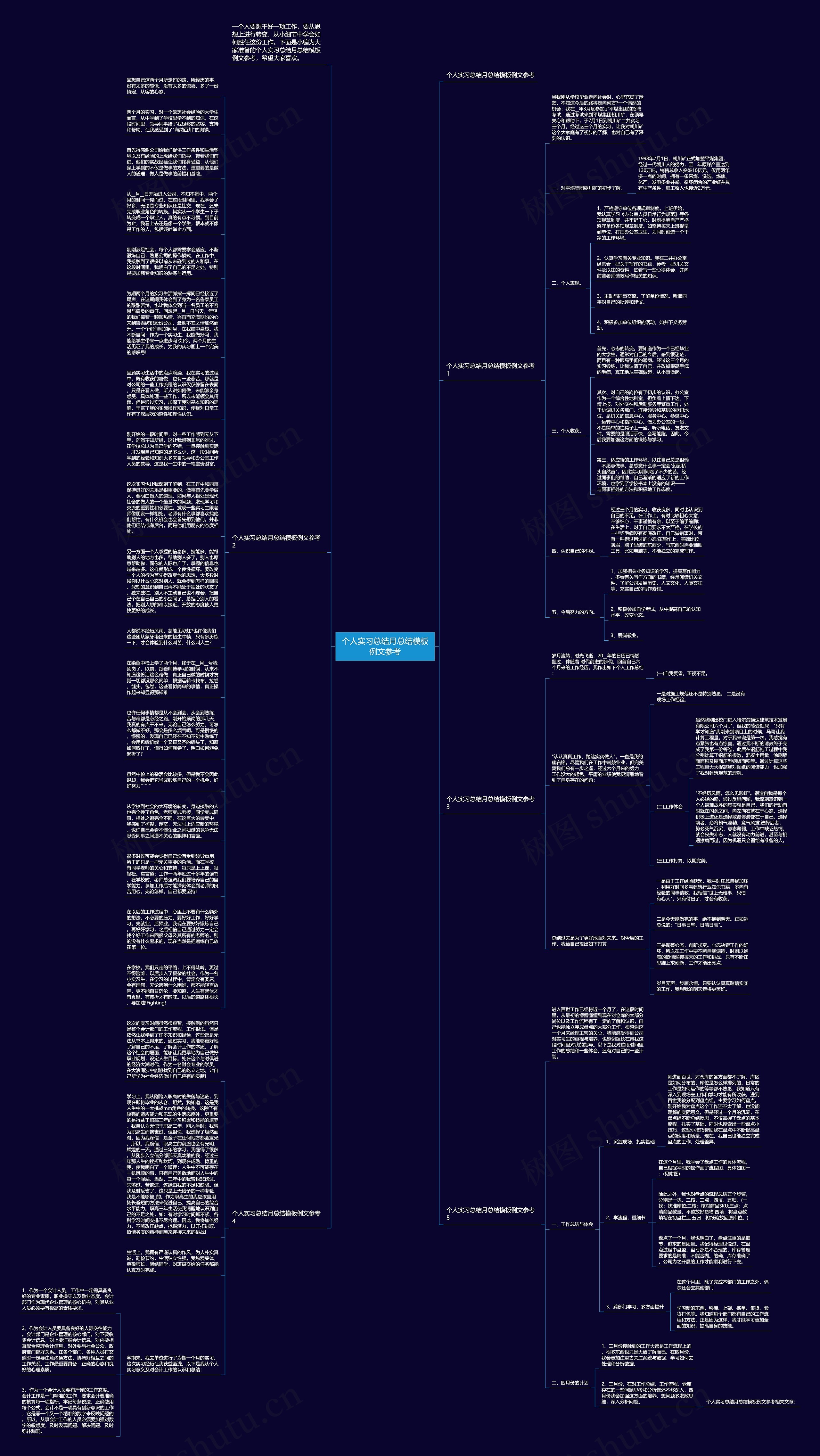 个人实习总结月总结例文参考思维导图