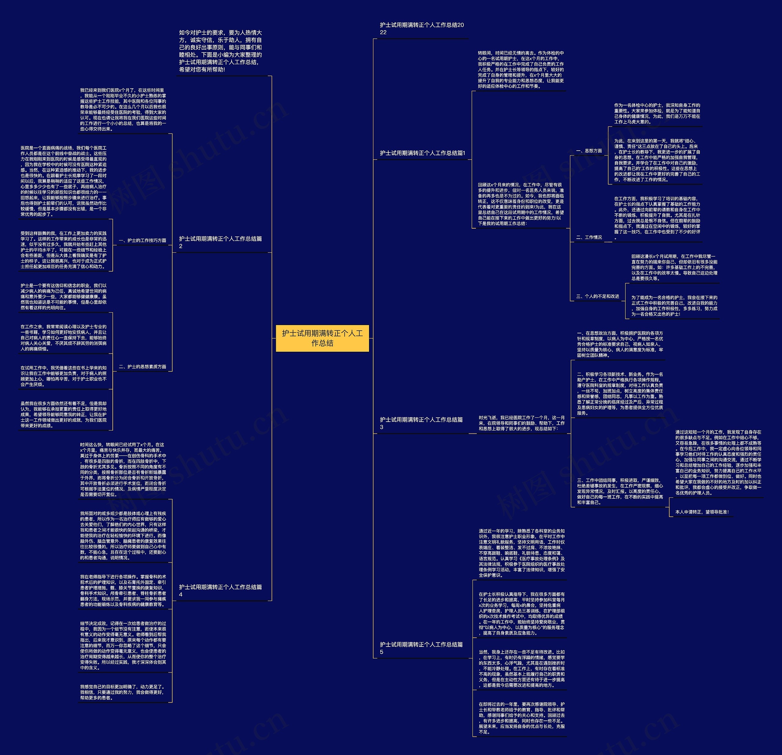 护士试用期满转正个人工作总结思维导图