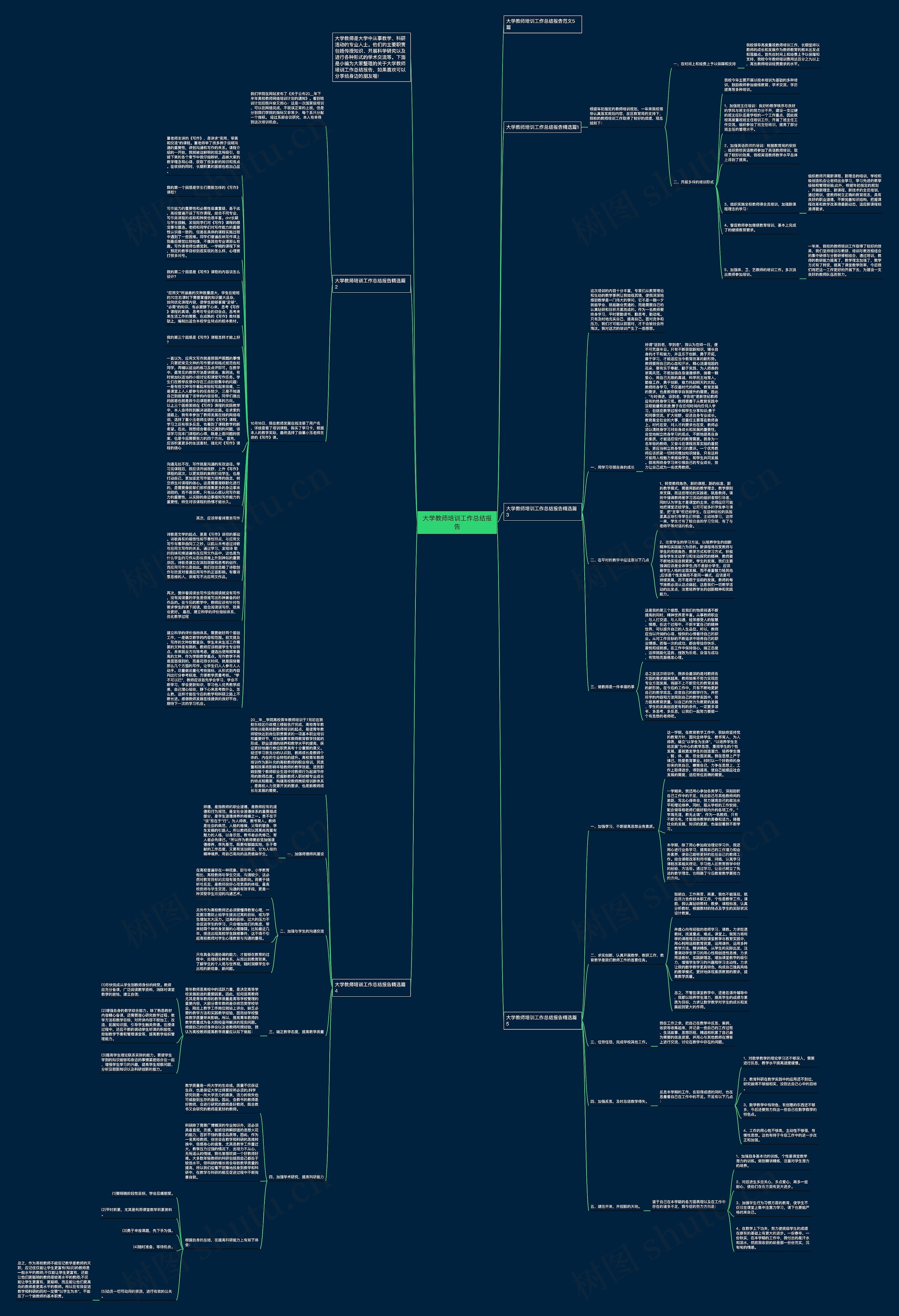 大学教师培训工作总结报告思维导图