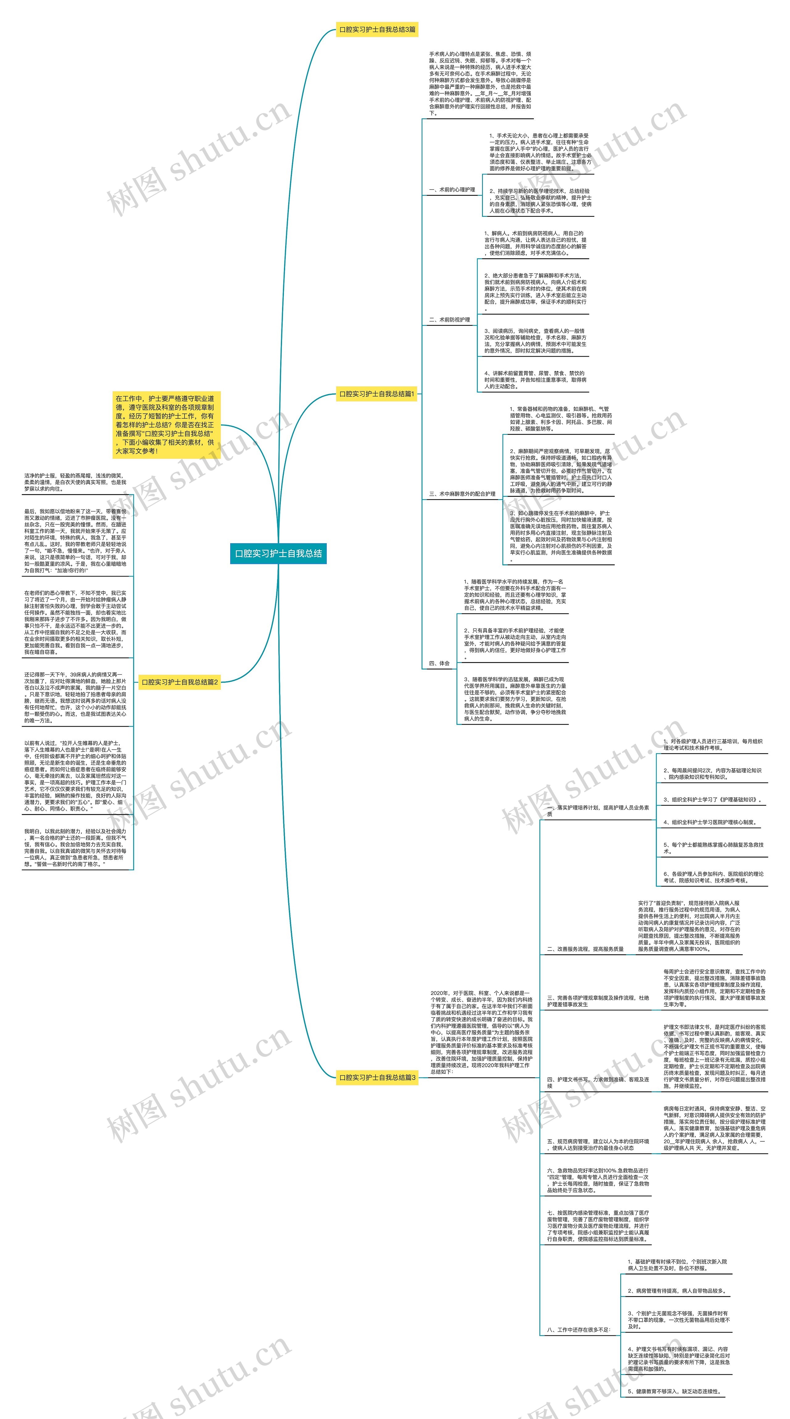 口腔实习护士自我总结思维导图
