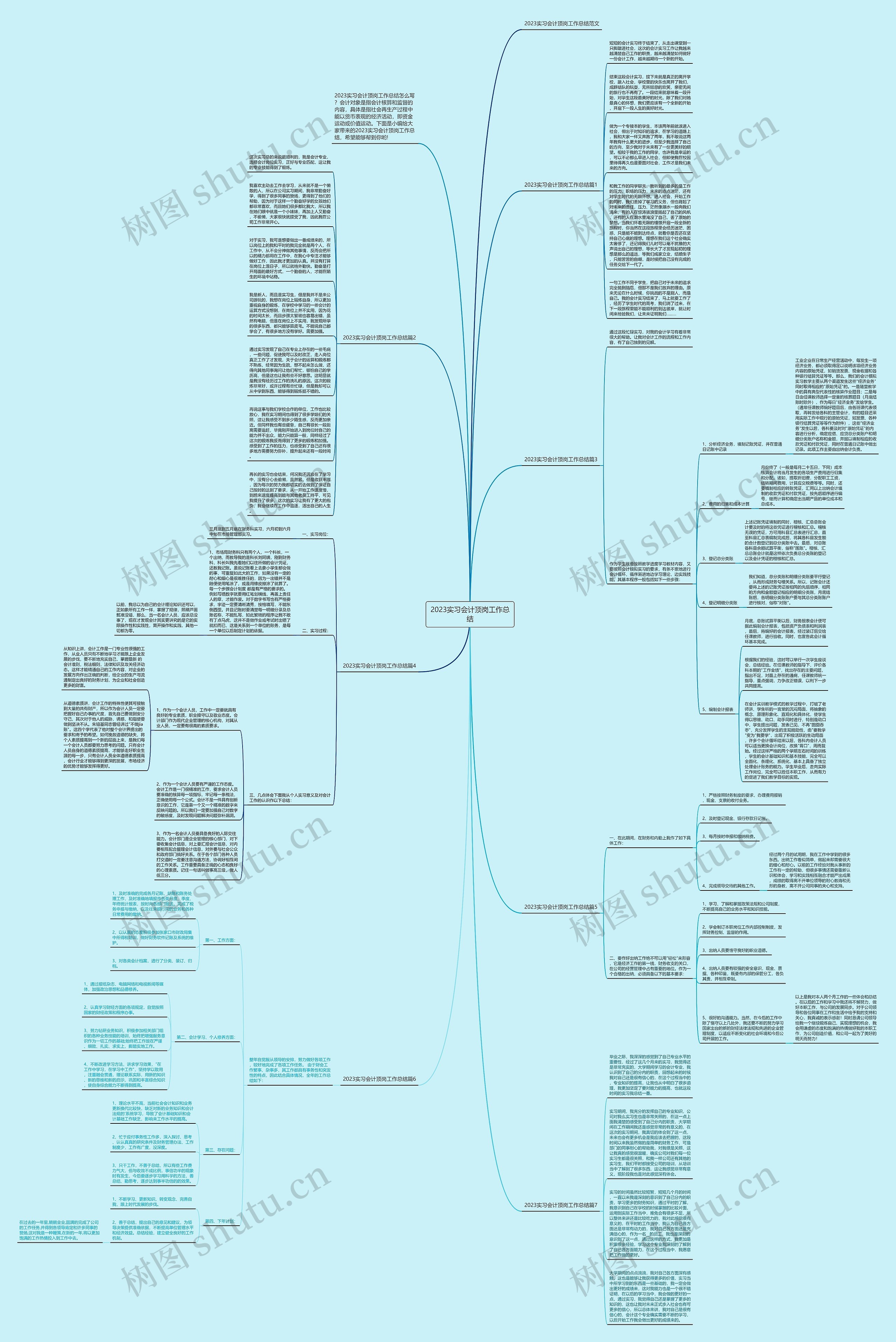 2023实习会计顶岗工作总结思维导图