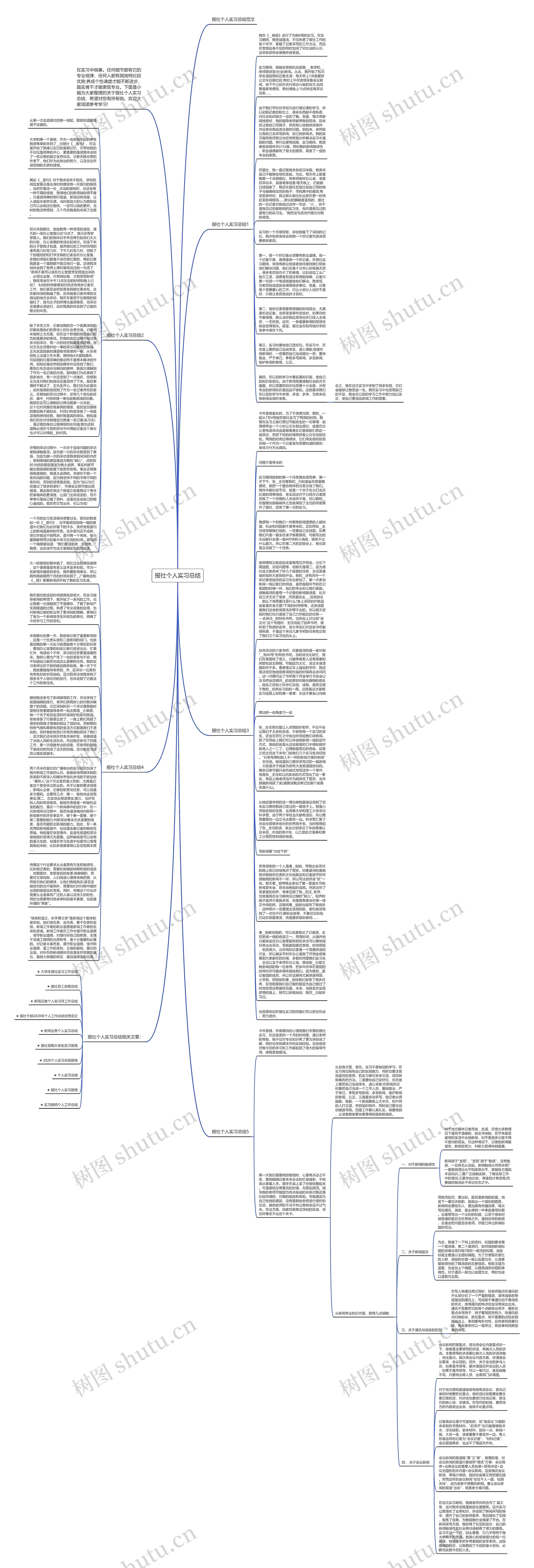 报社个人实习总结思维导图