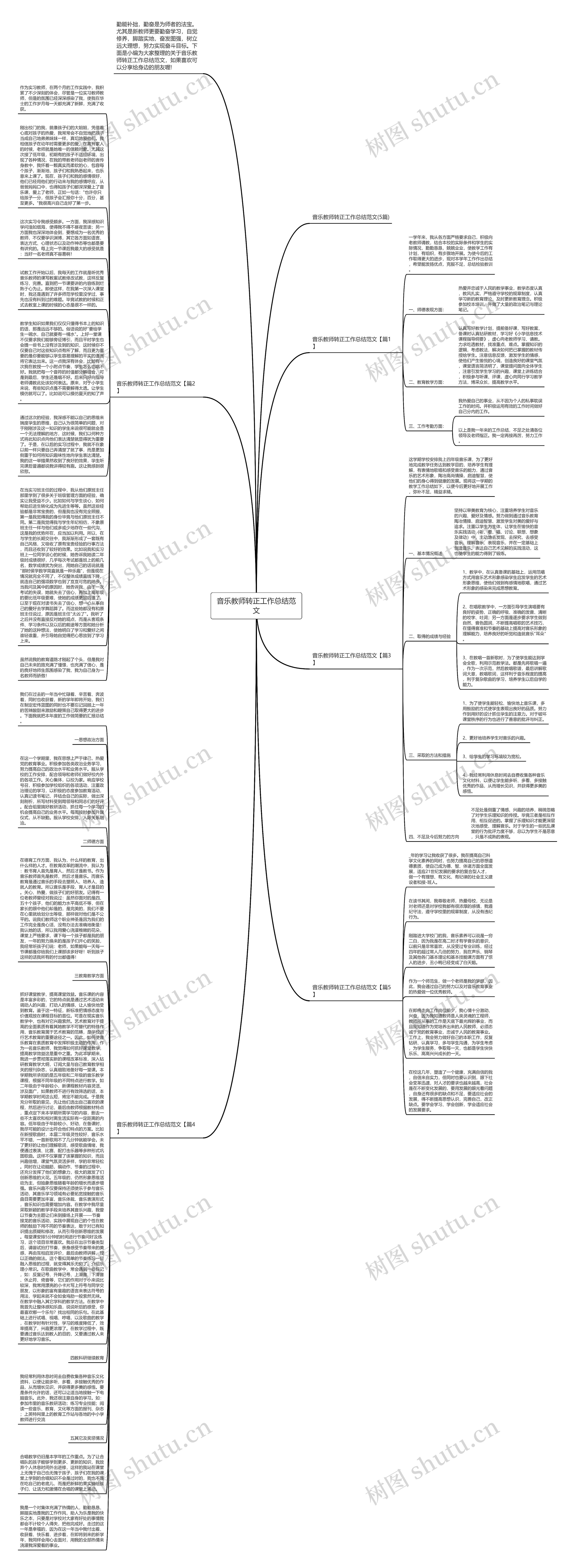 音乐教师转正工作总结范文