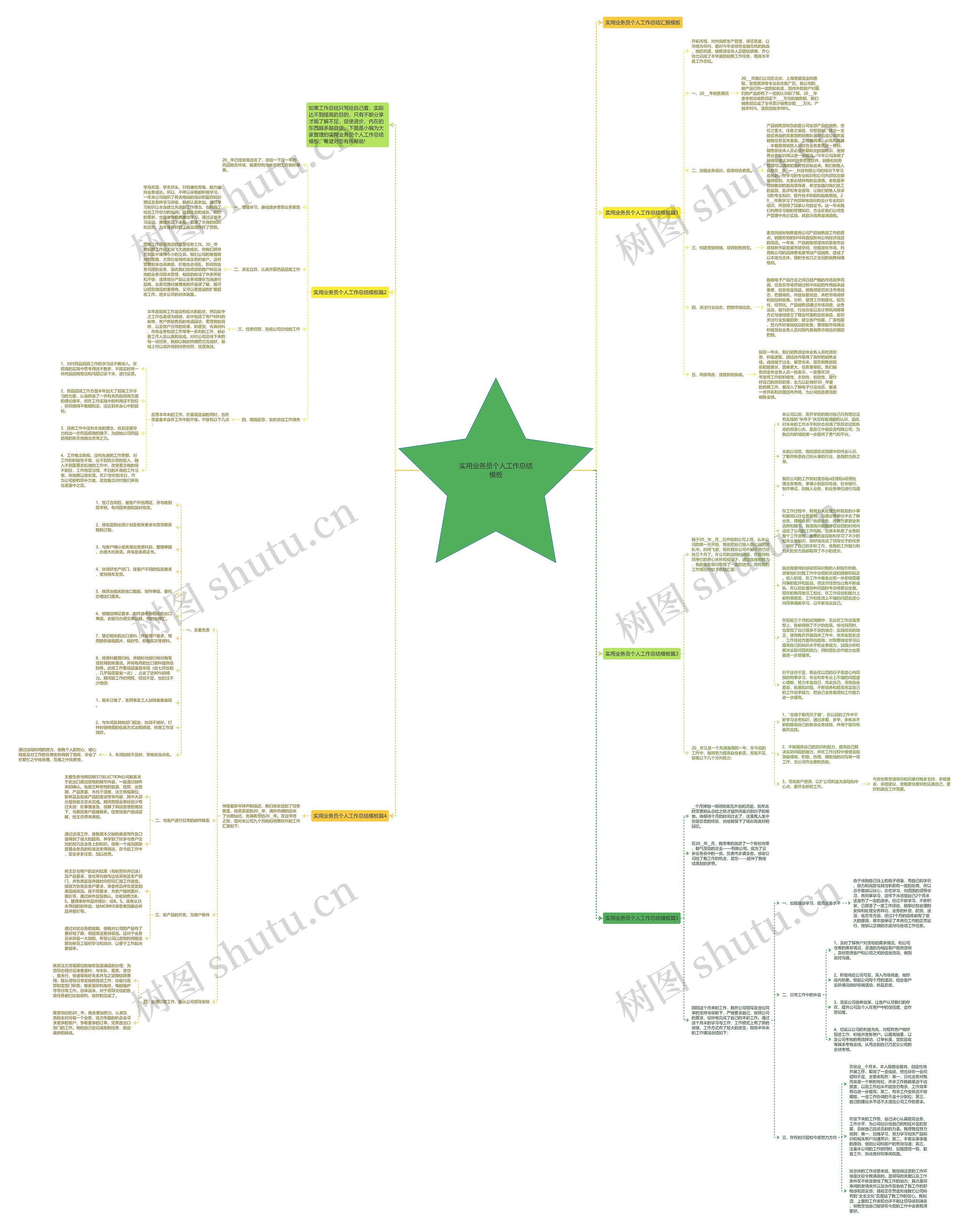 实用业务员个人工作总结思维导图