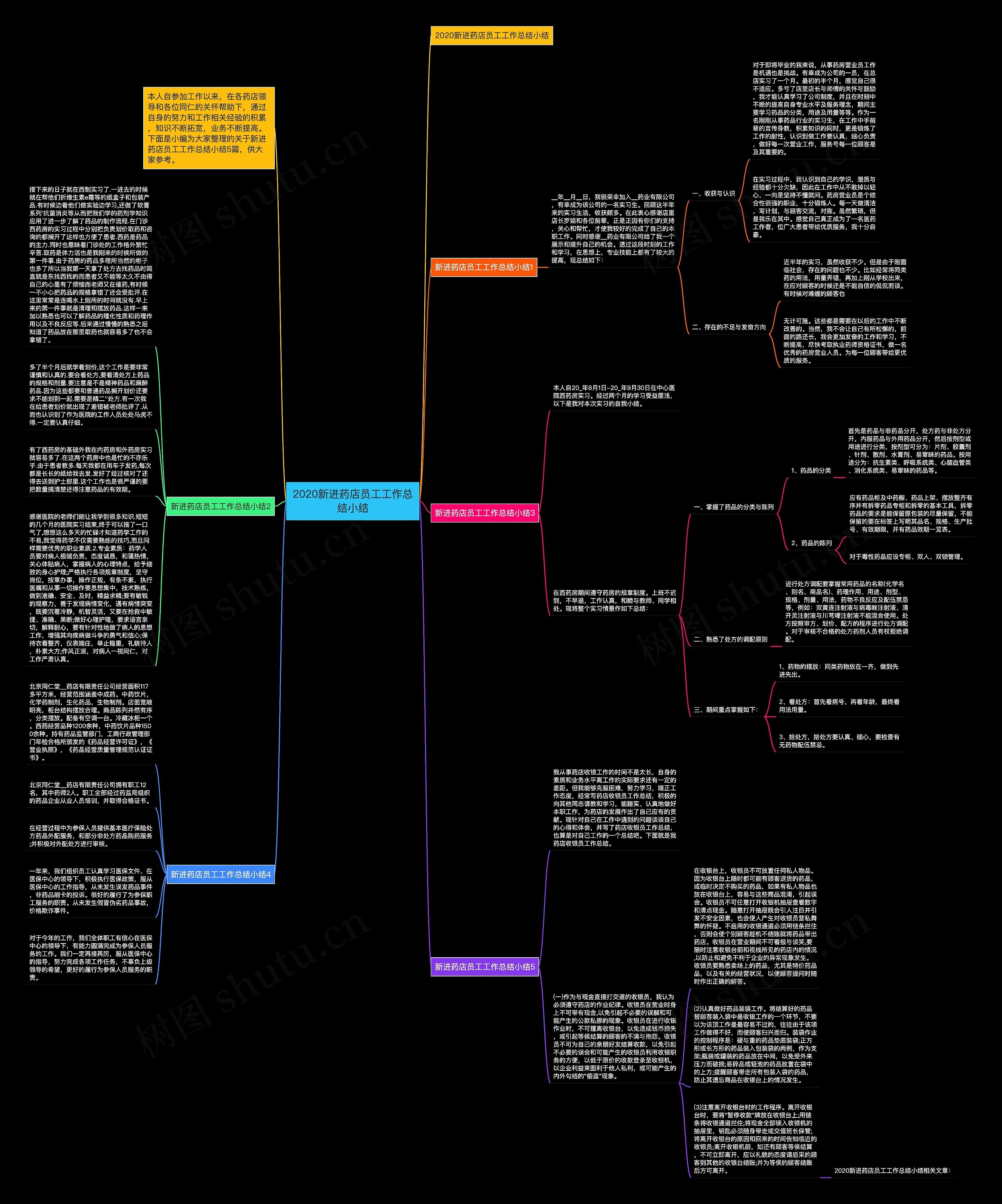 2020新进药店员工工作总结小结思维导图