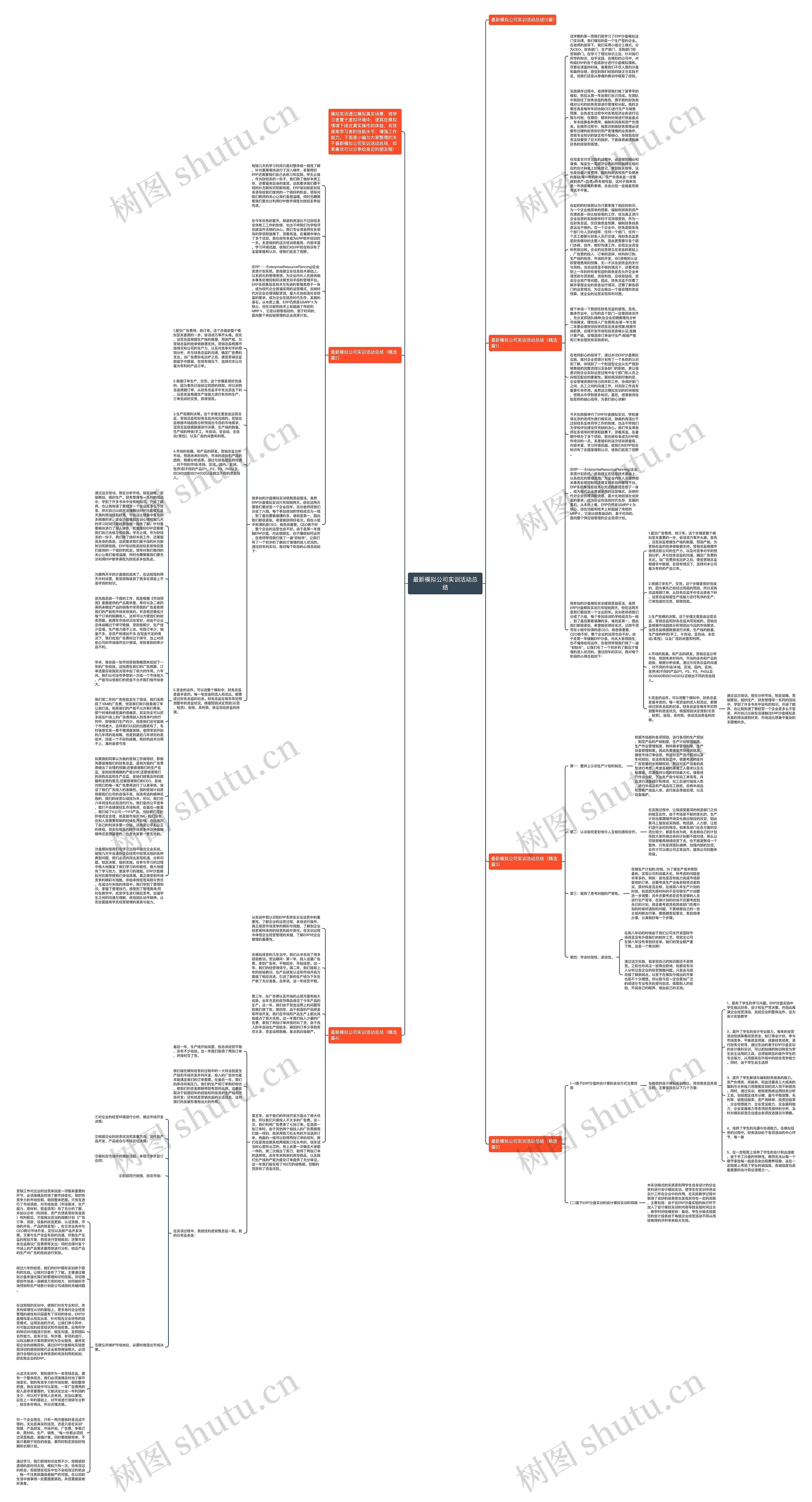 最新模拟公司实训活动总结思维导图