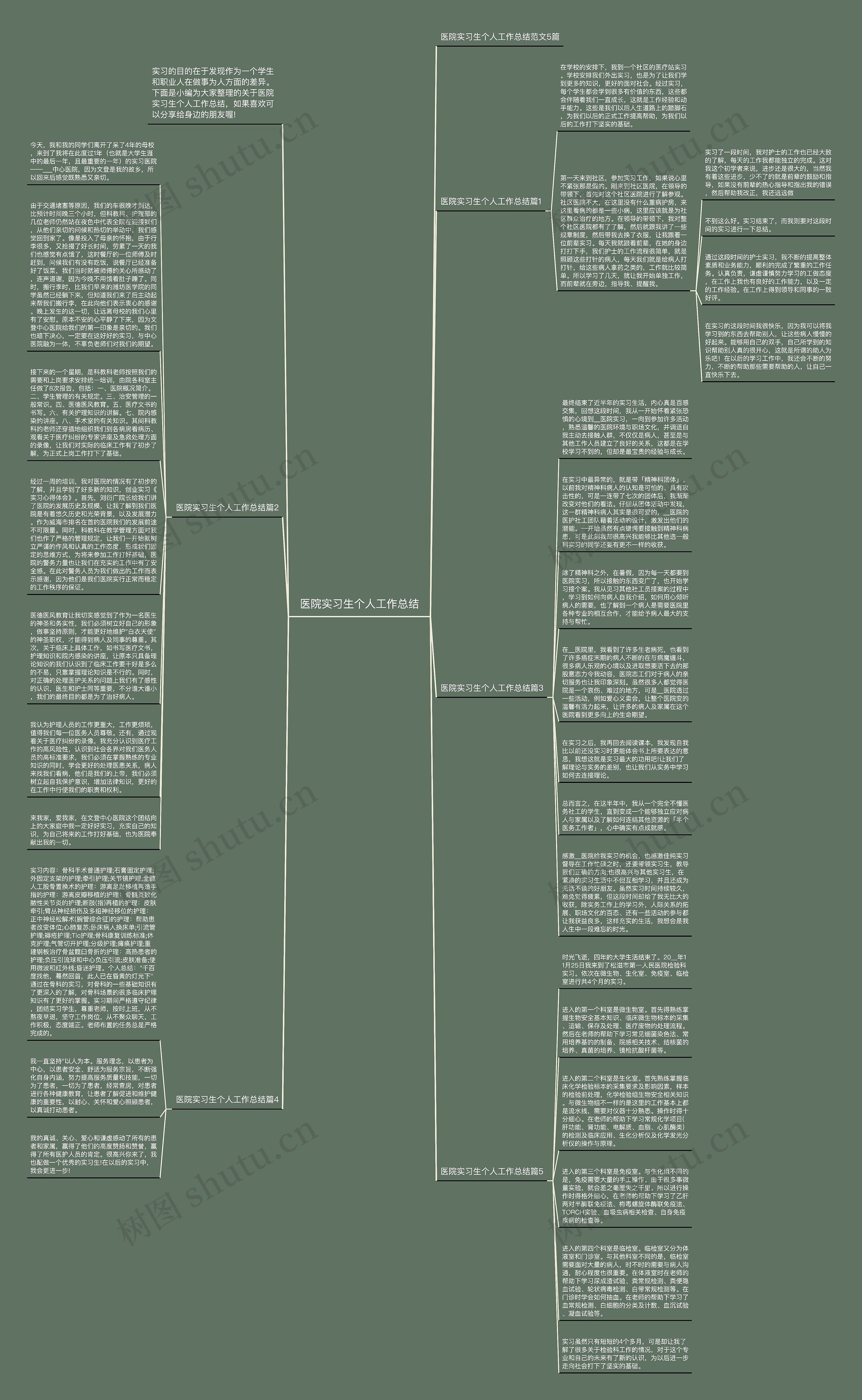 医院实习生个人工作总结思维导图