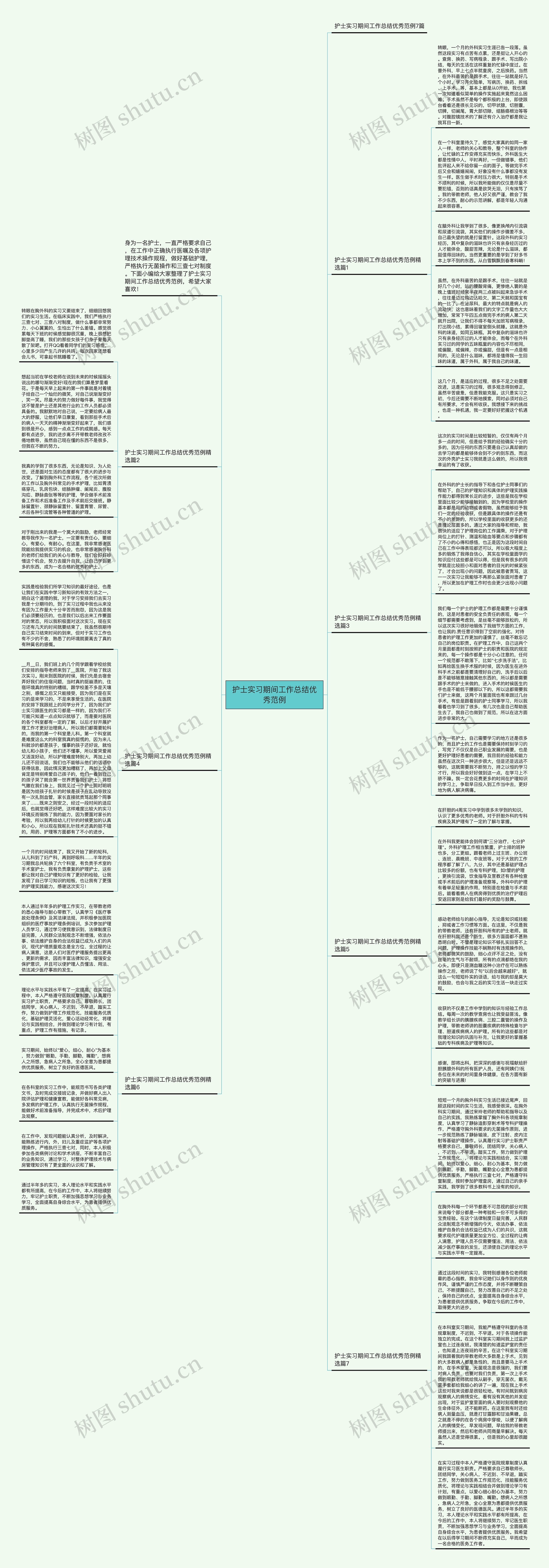 护士实习期间工作总结优秀范例思维导图
