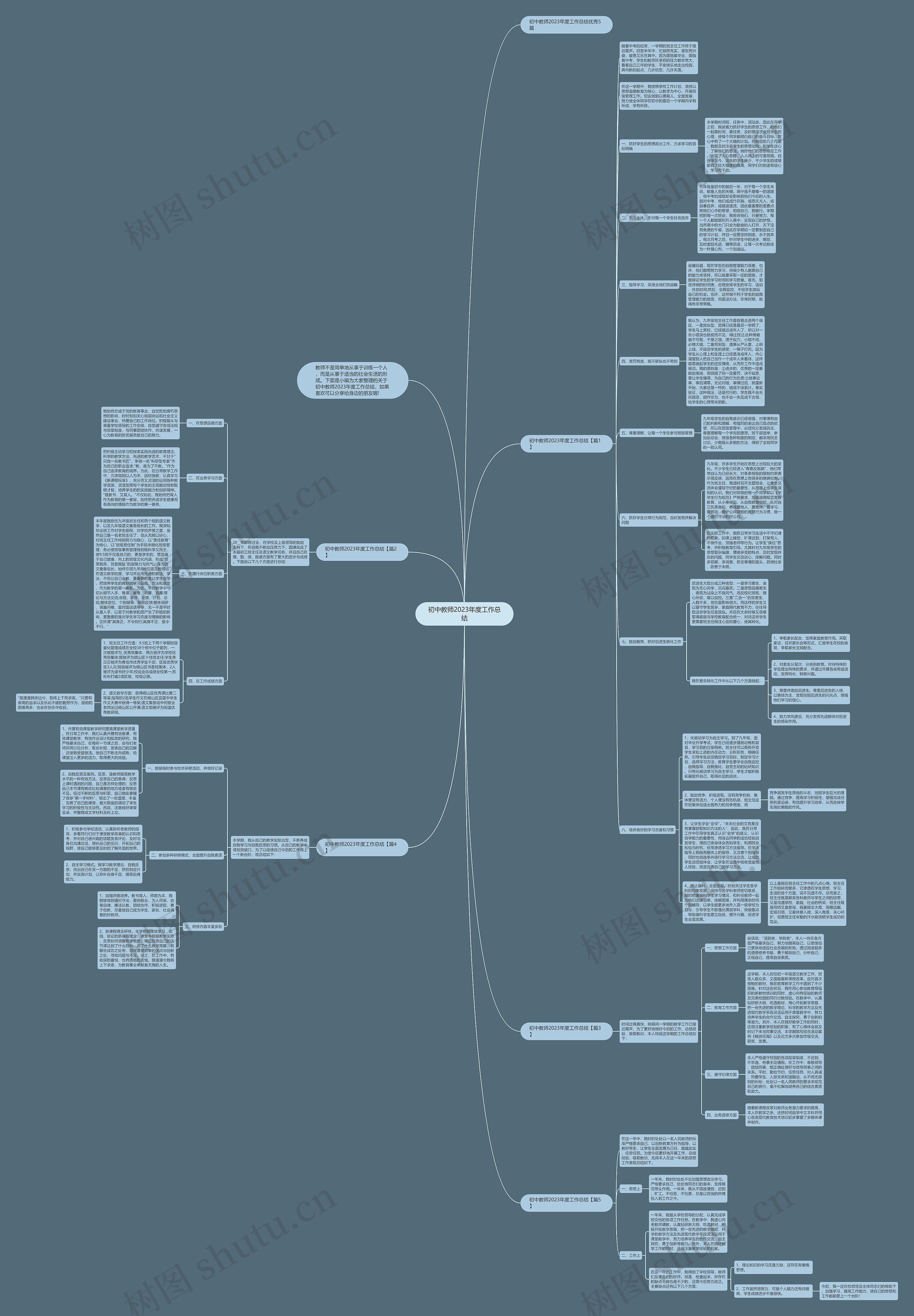 初中教师2023年度工作总结思维导图