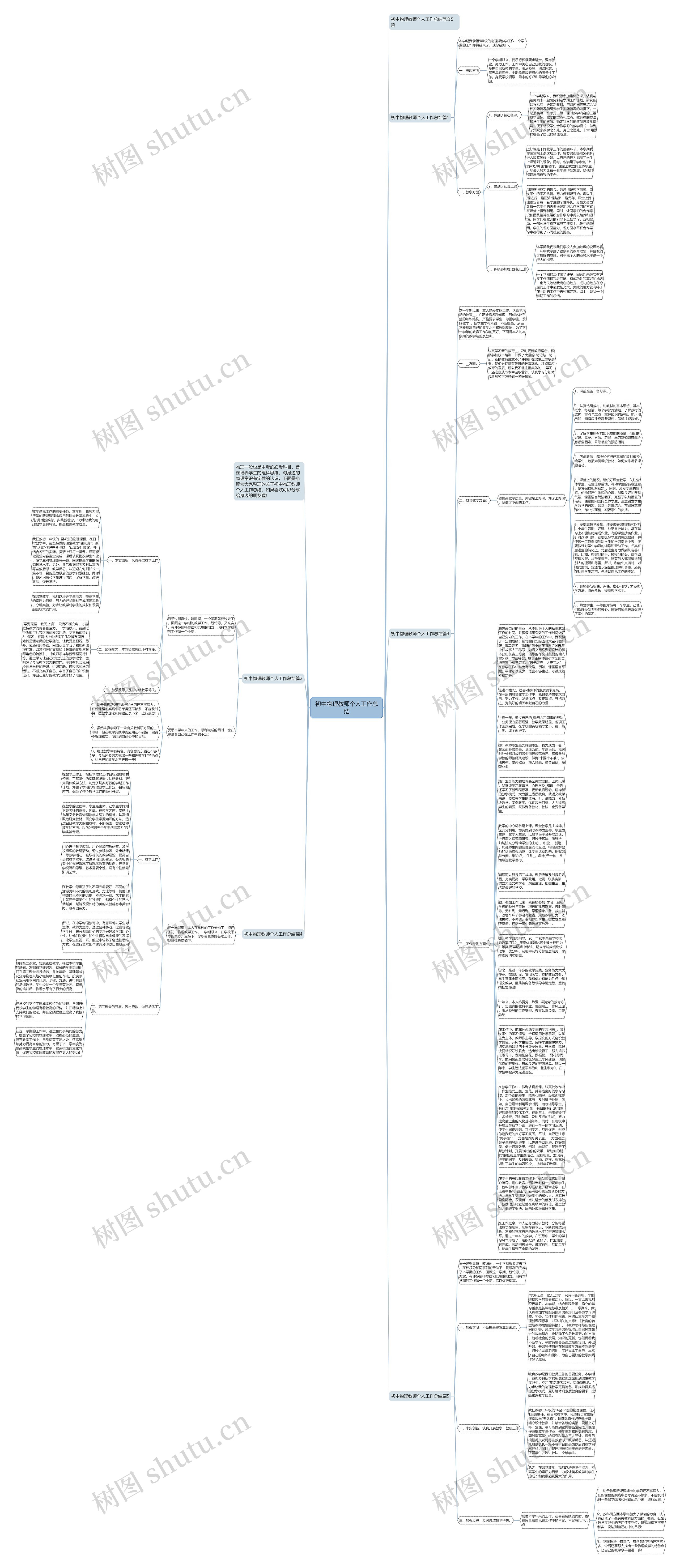 初中物理教师个人工作总结思维导图