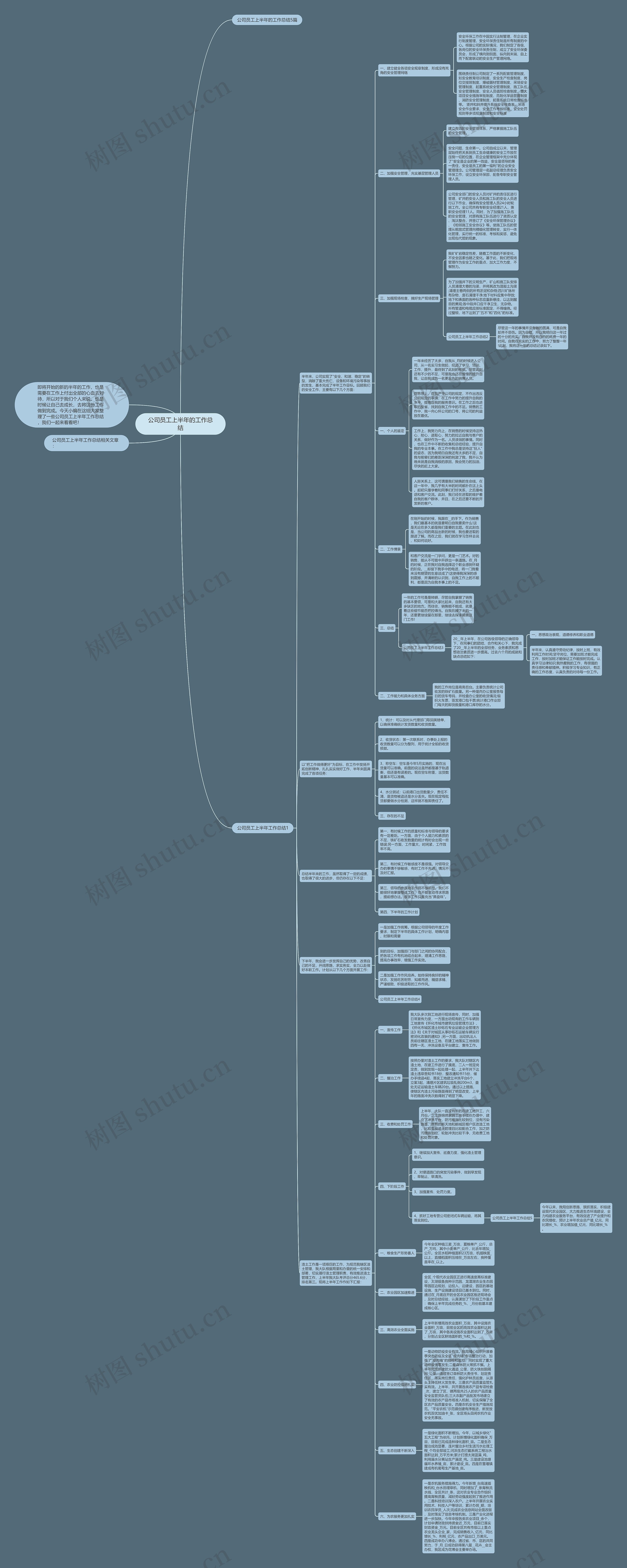 公司员工上半年的工作总结思维导图