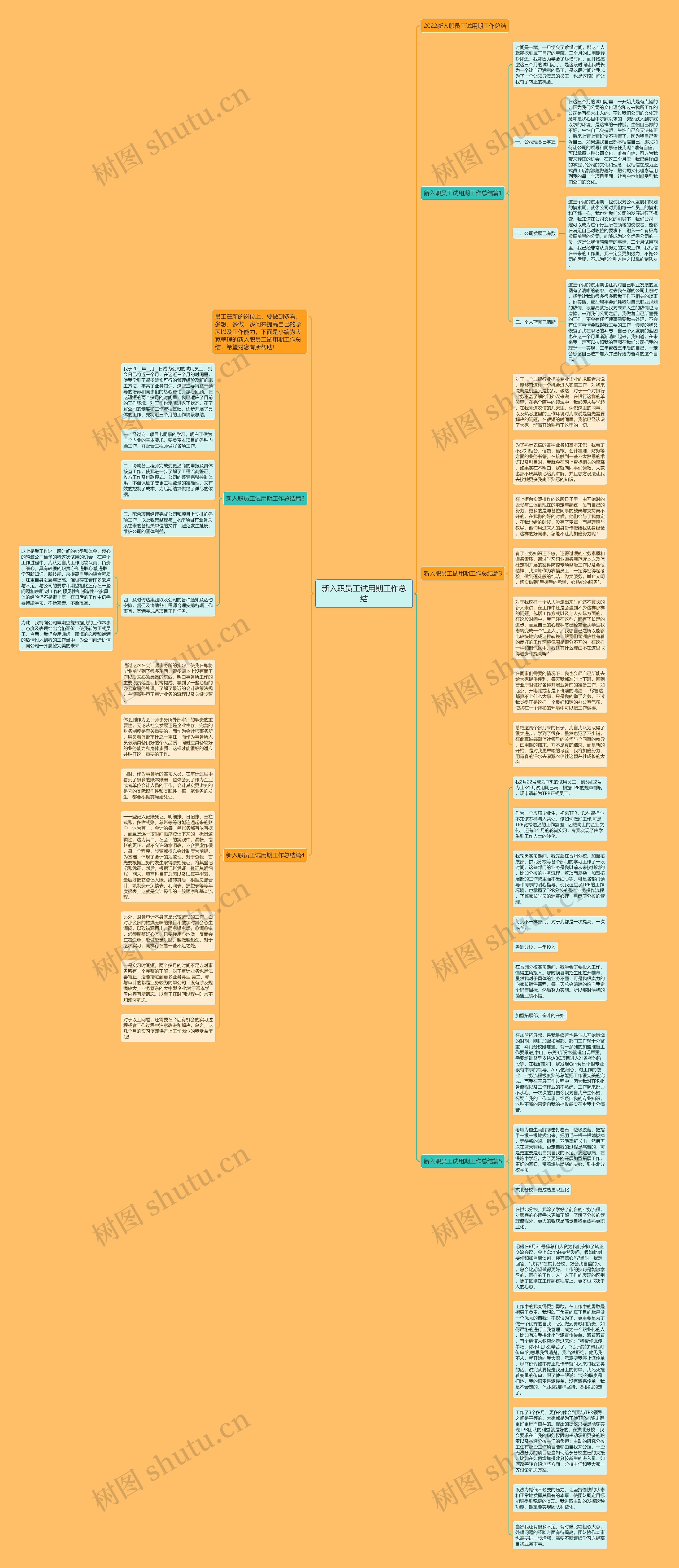 新入职员工试用期工作总结