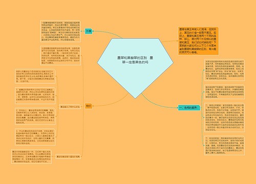 墨翠和黑翡翠的区别   墨翠一定是黑色的吗