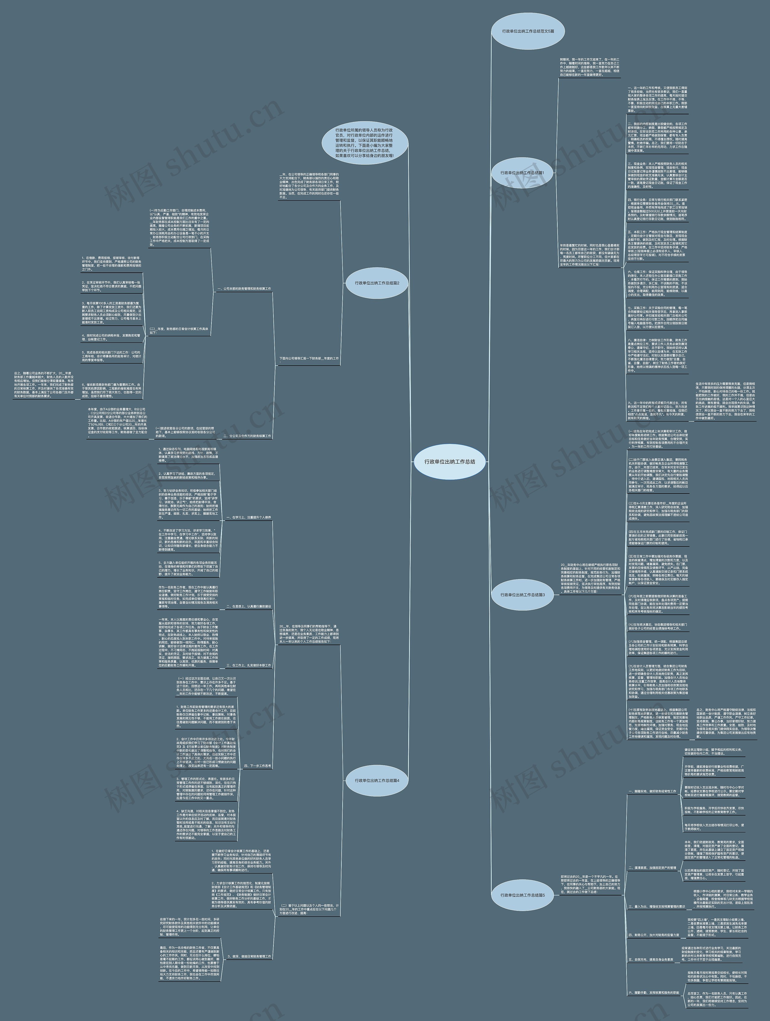 行政单位出纳工作总结思维导图