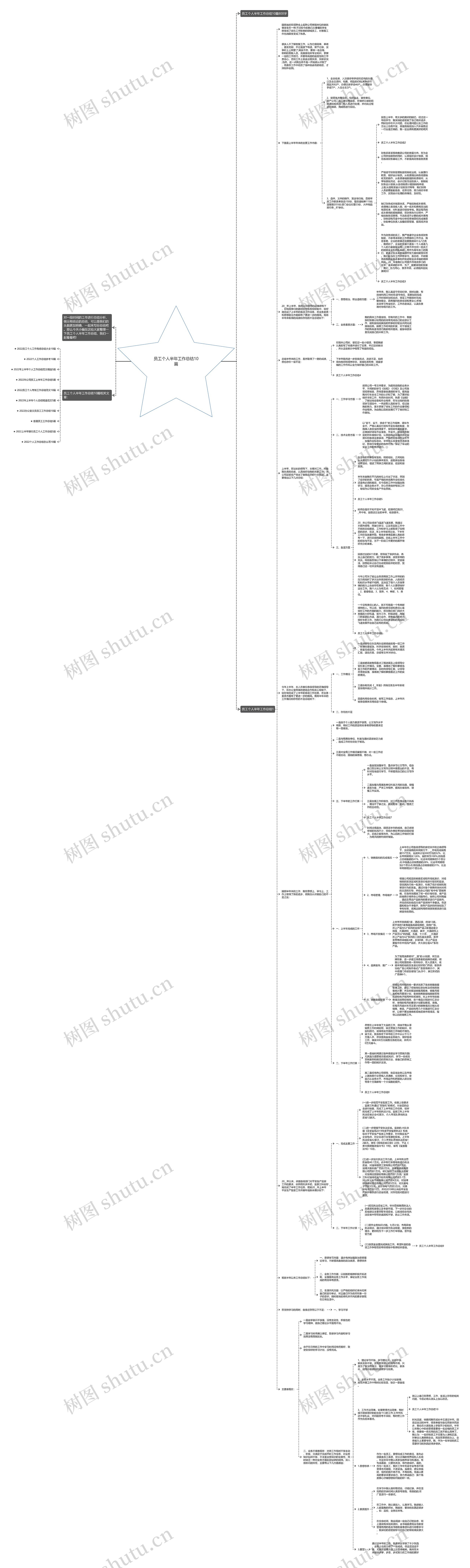 员工个人半年工作总结10篇思维导图