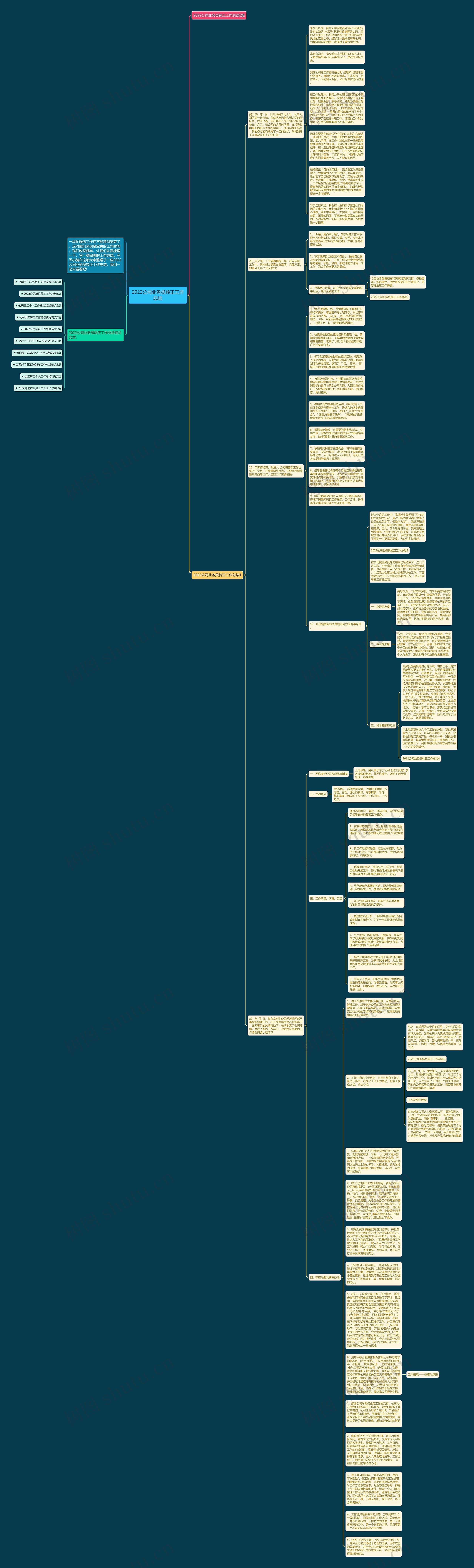 2022公司业务员转正工作总结思维导图