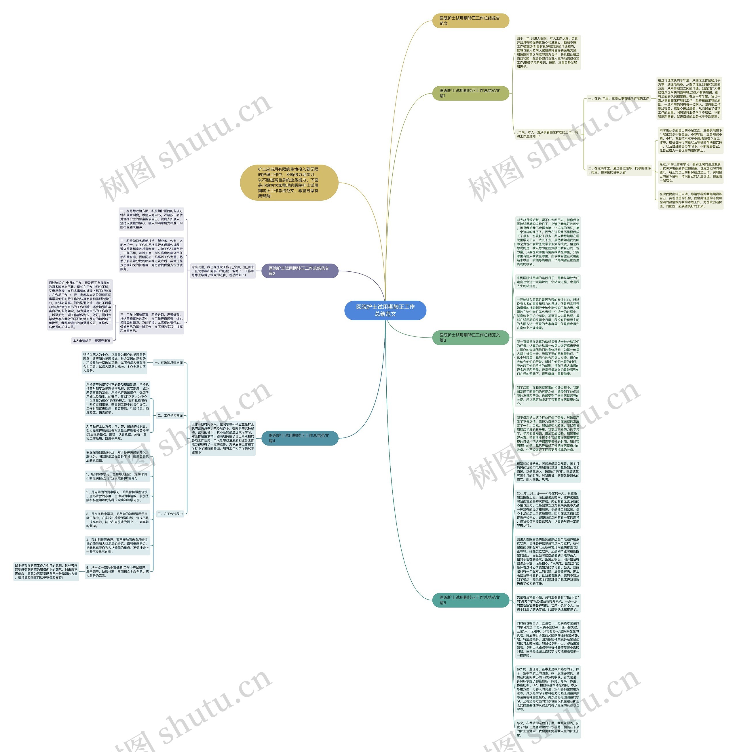 医院护士试用期转正工作总结范文思维导图高清图 医院护士试用期转正工作总结范文思维导图