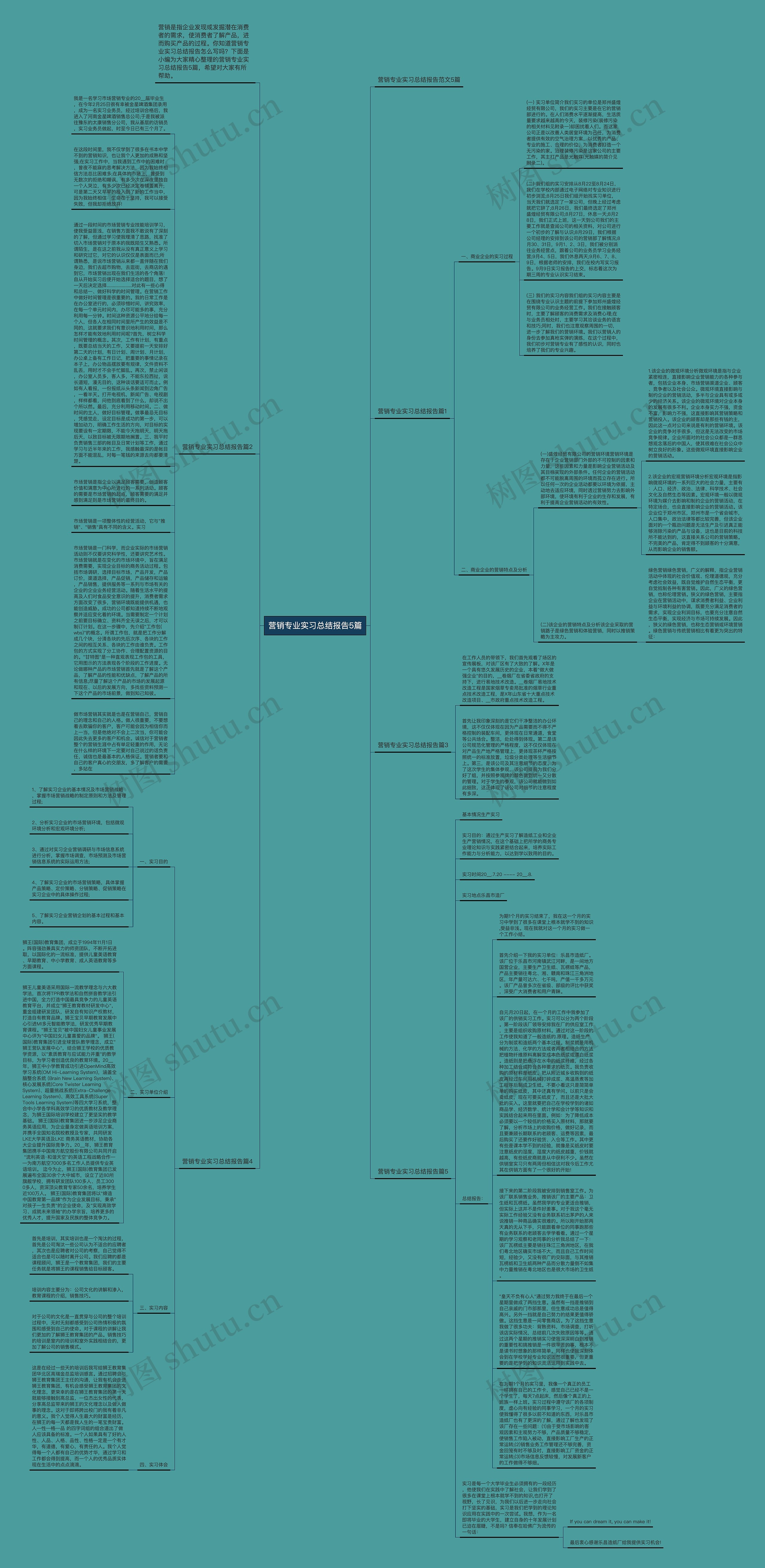 营销专业实习总结报告5篇思维导图