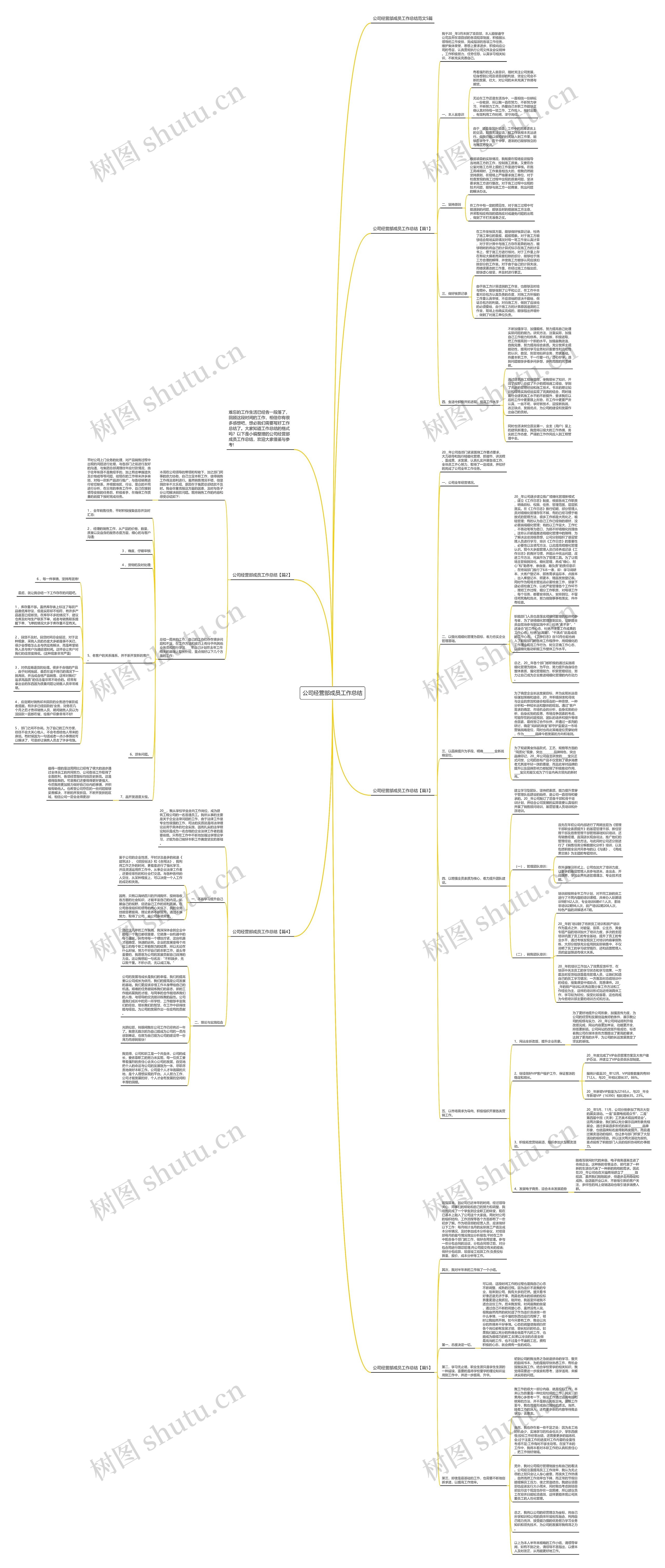 公司经营部成员工作总结思维导图